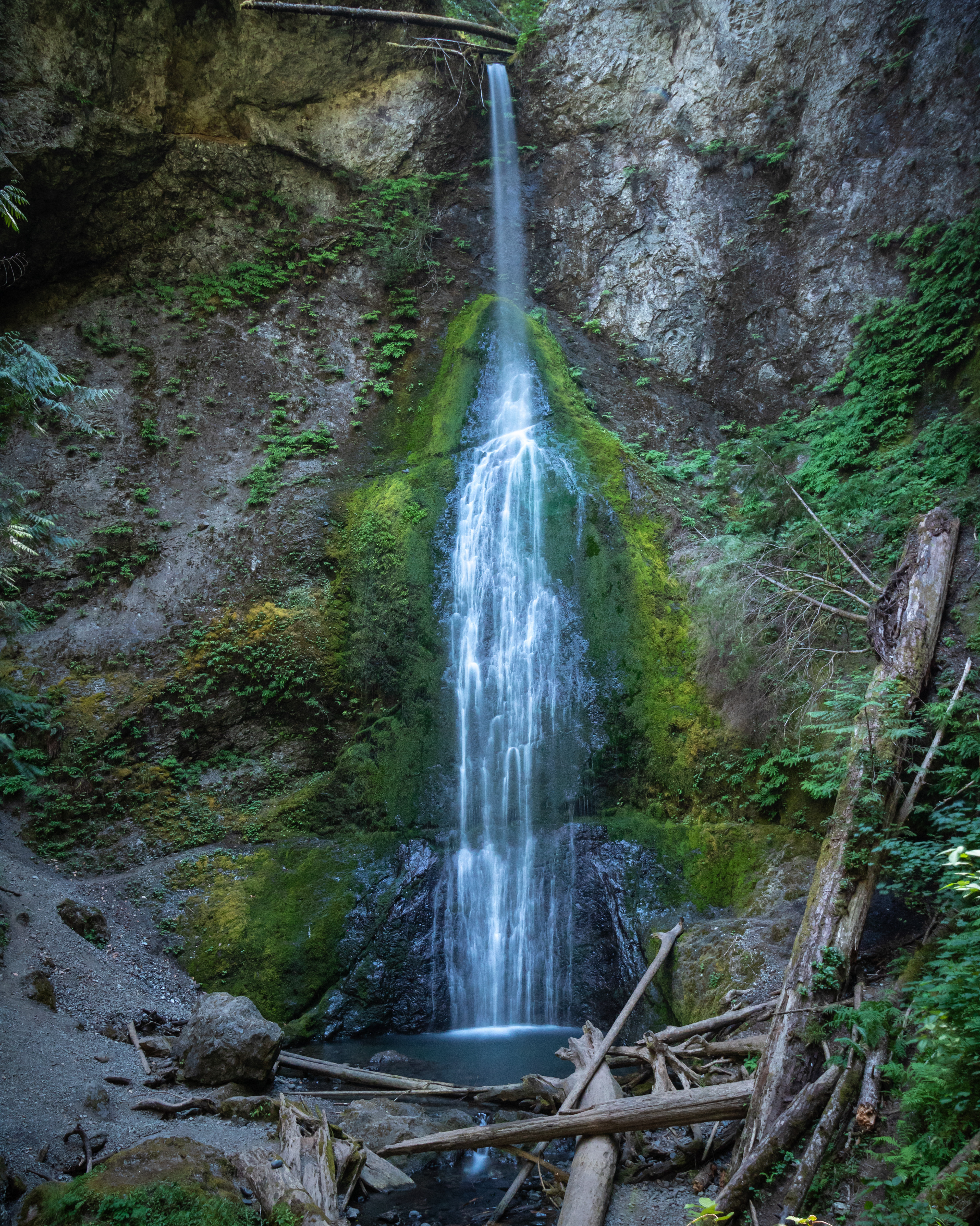 Marymere Falls - Olympic National Park