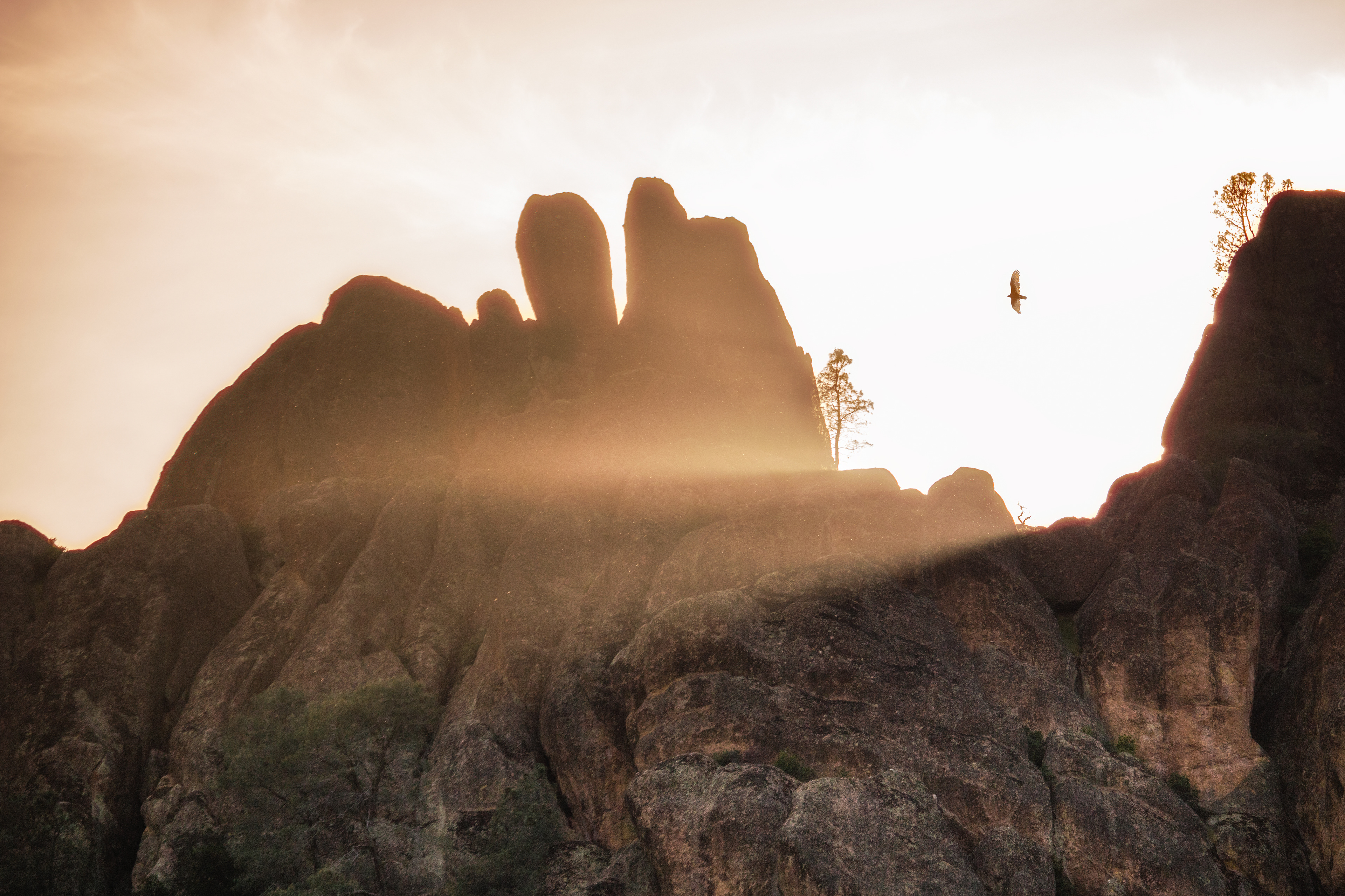 Pinnacles Golden Light - Pinnacles National Park