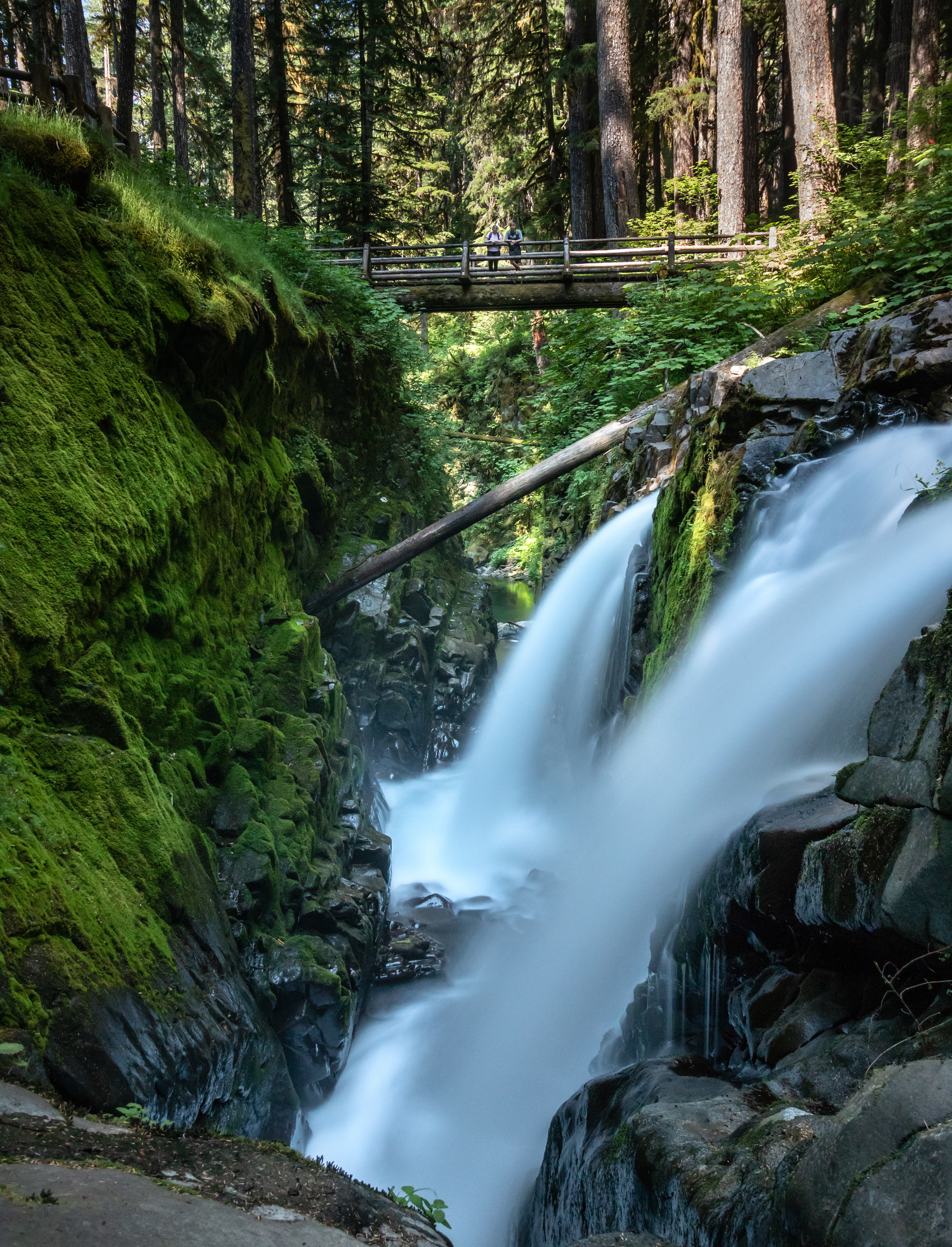 Sol Duc Falls - Olympic National Park