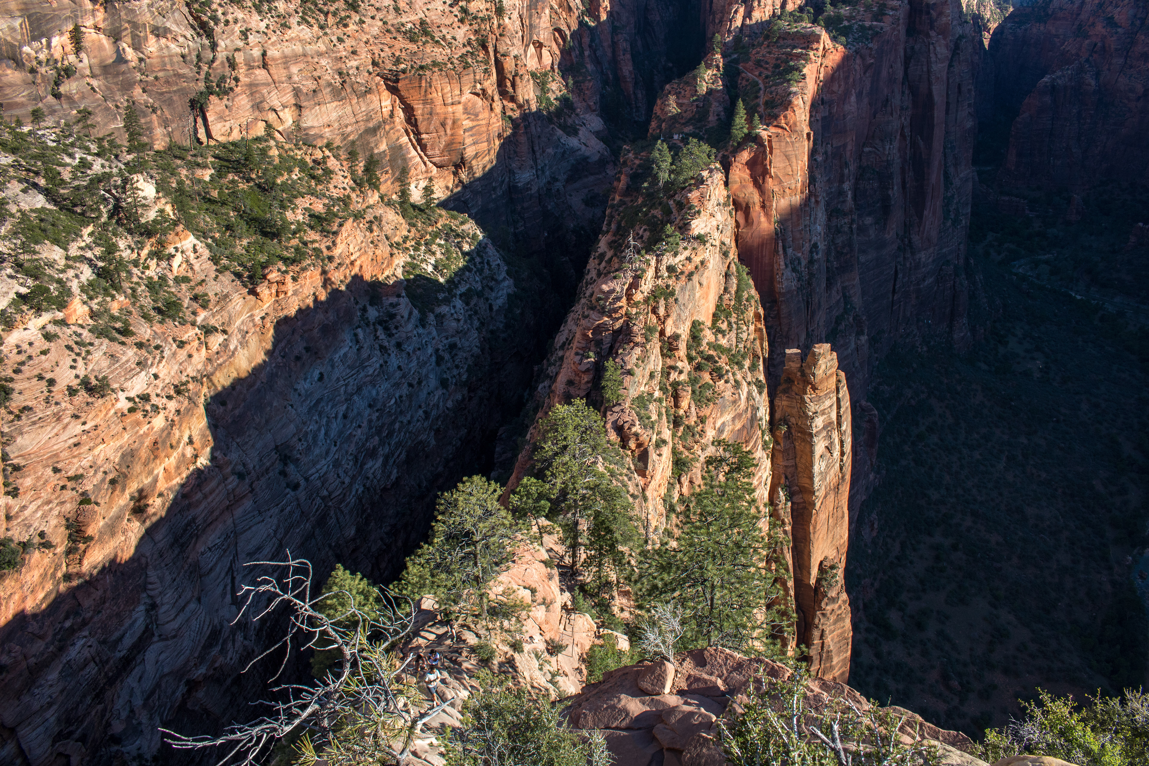 Angels Landing - Zion National Park