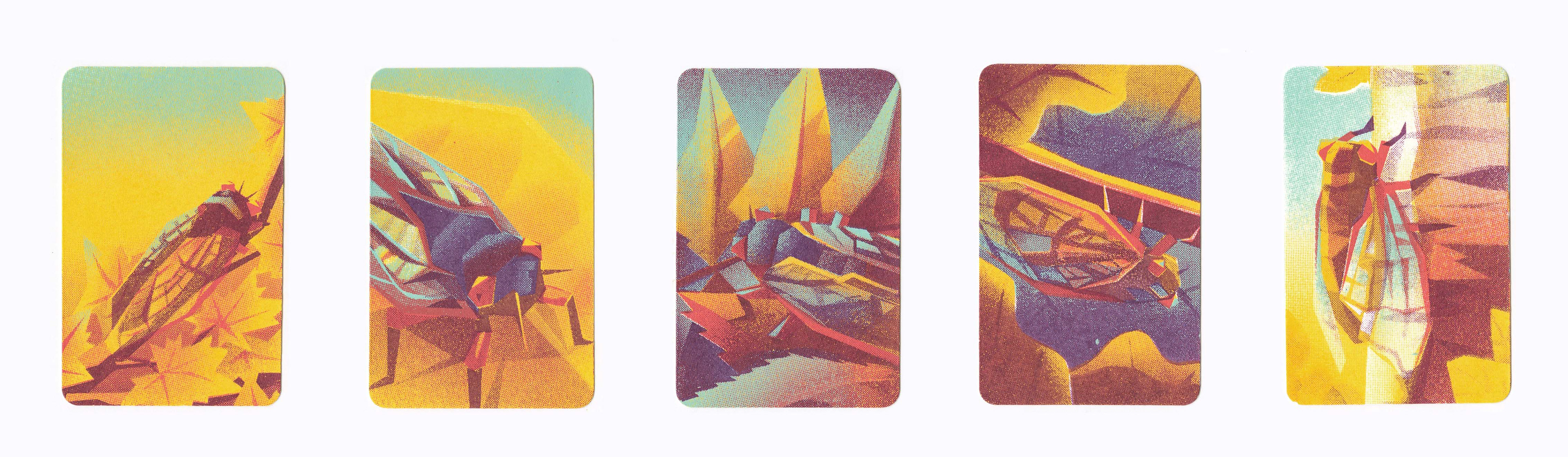Cicada Screenprint Photocards