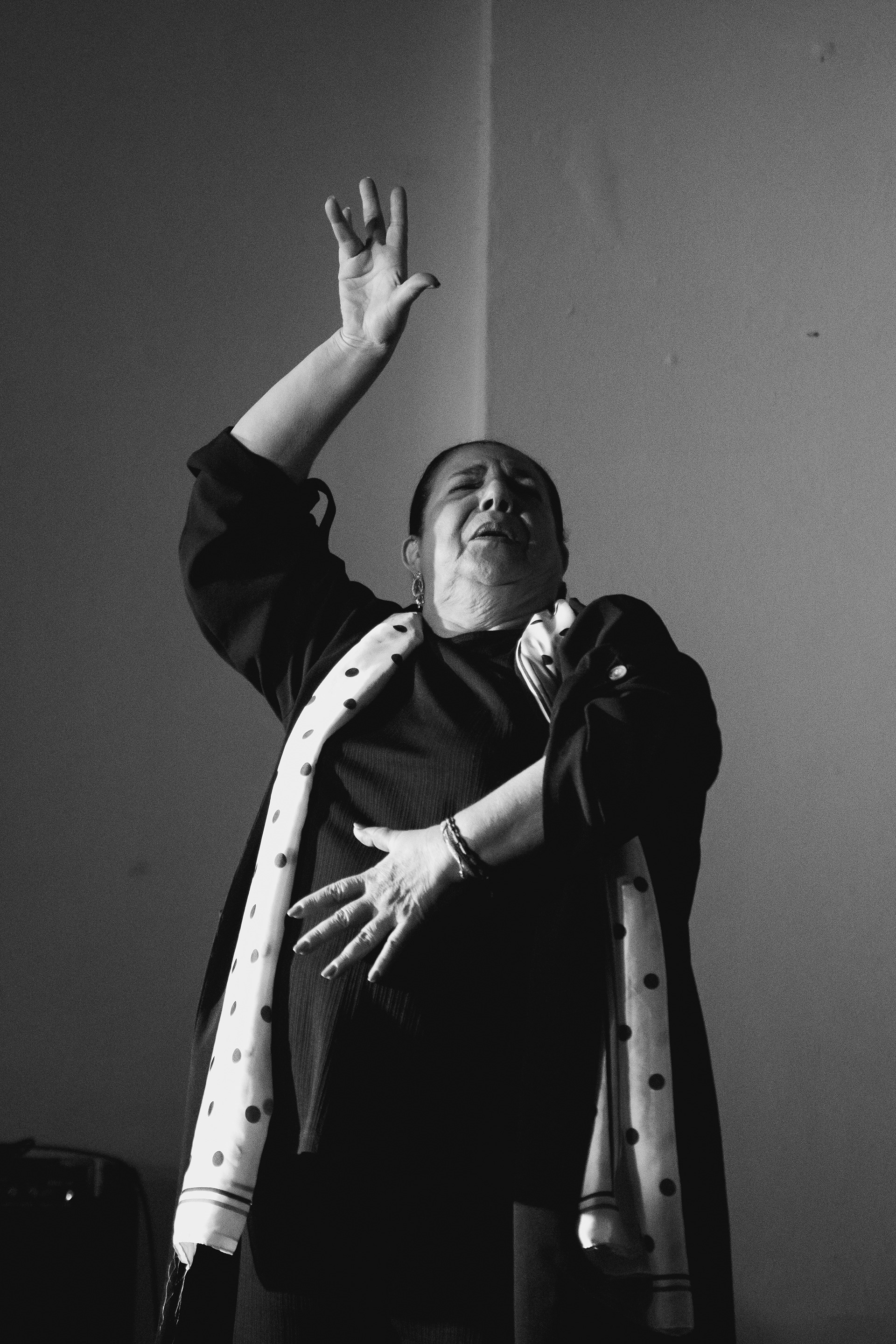 Carmen Ledesma - Museo Estevez