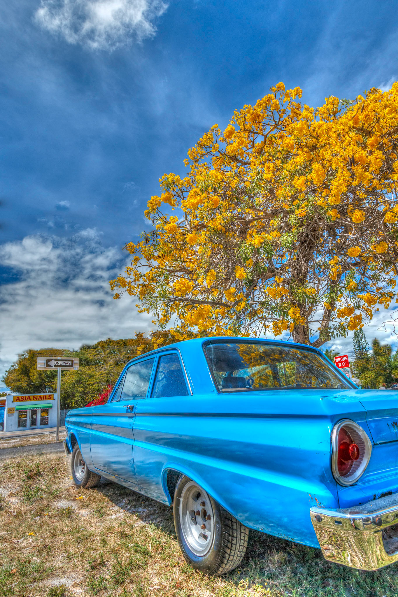 Blue car in Key Largo, HDR