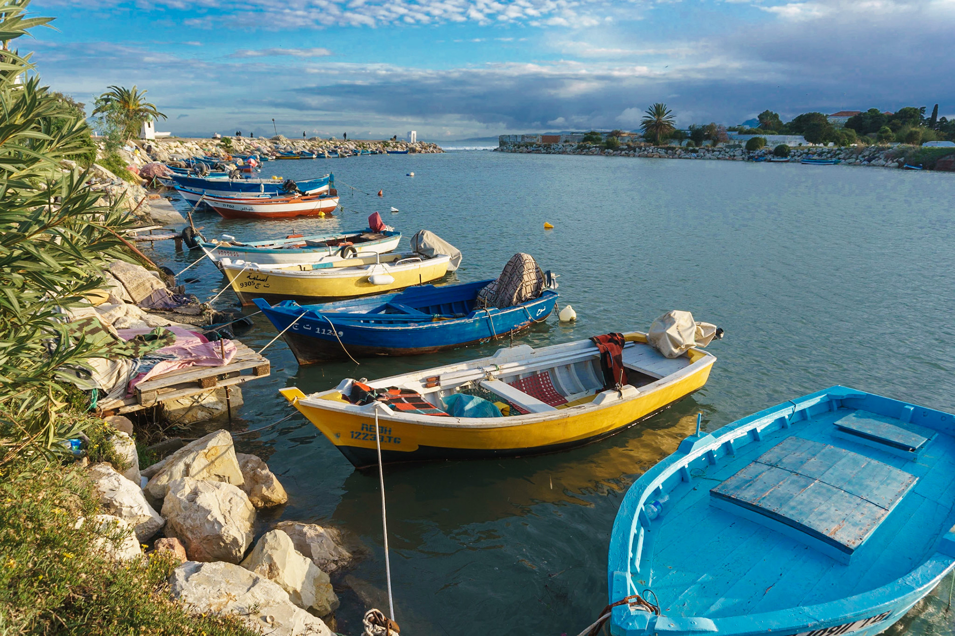 Working boats in the Port of Carthage