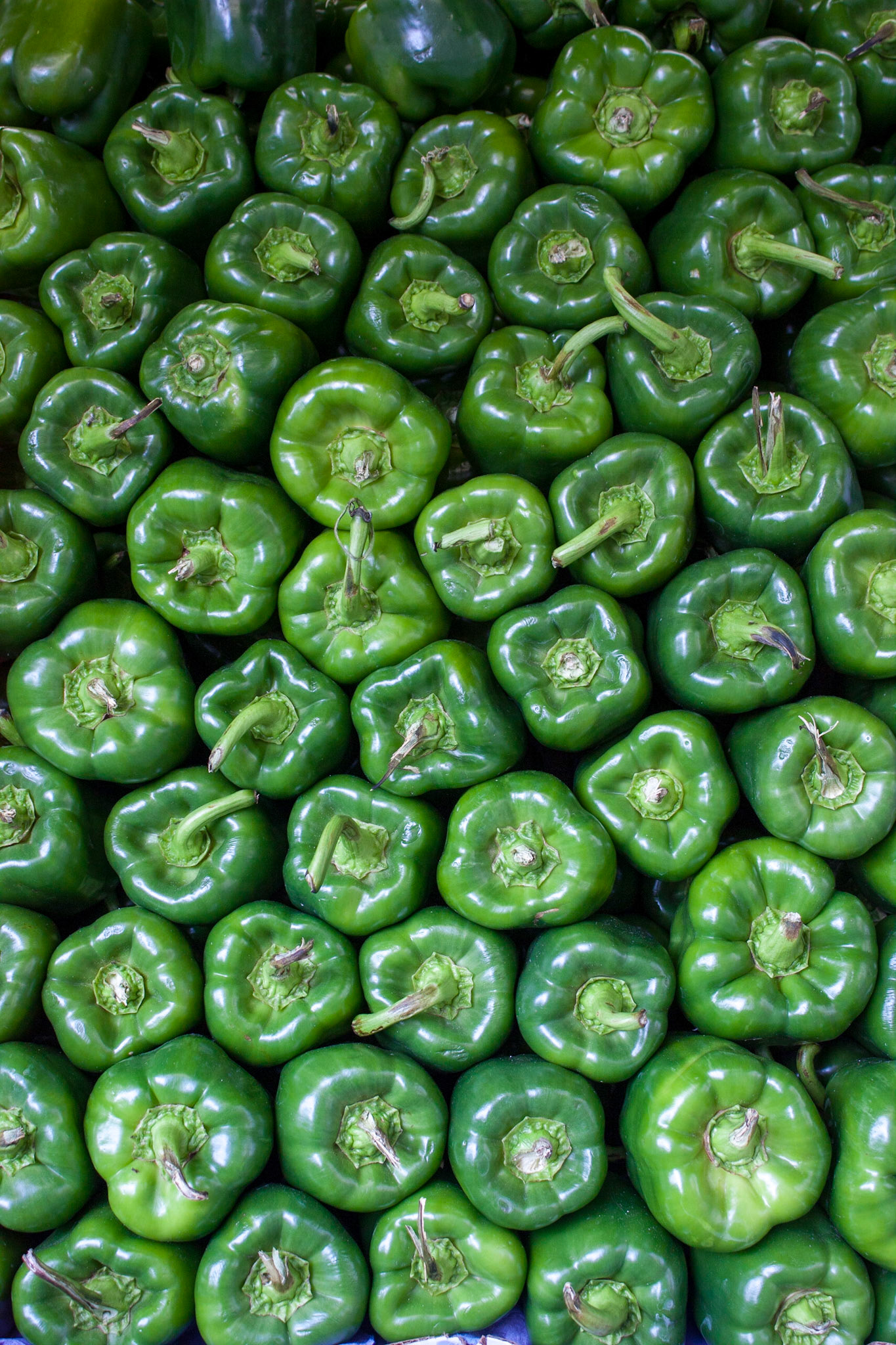 Green peppers in NYC