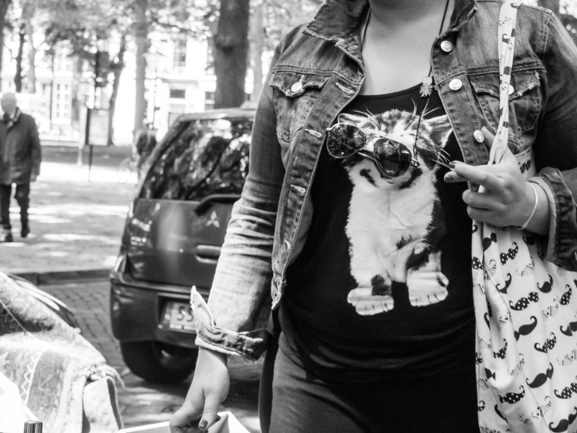 Cat with Sunglasses