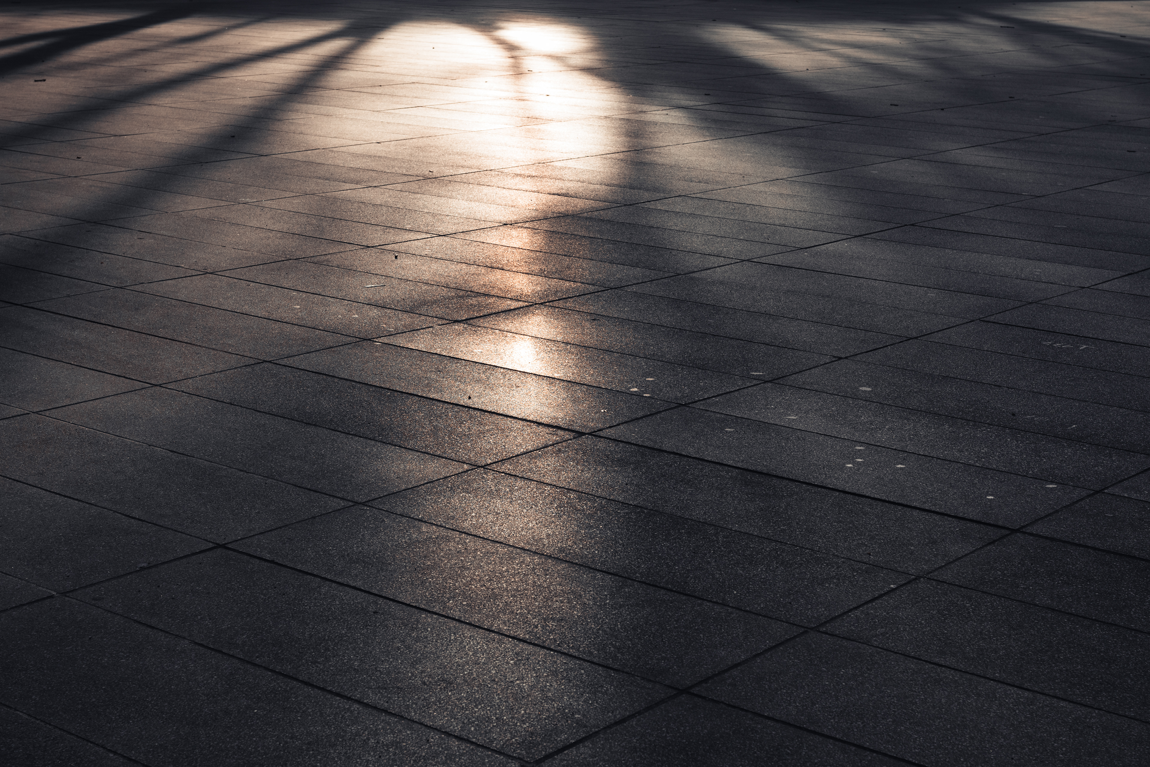SHAPES OF LIGHT