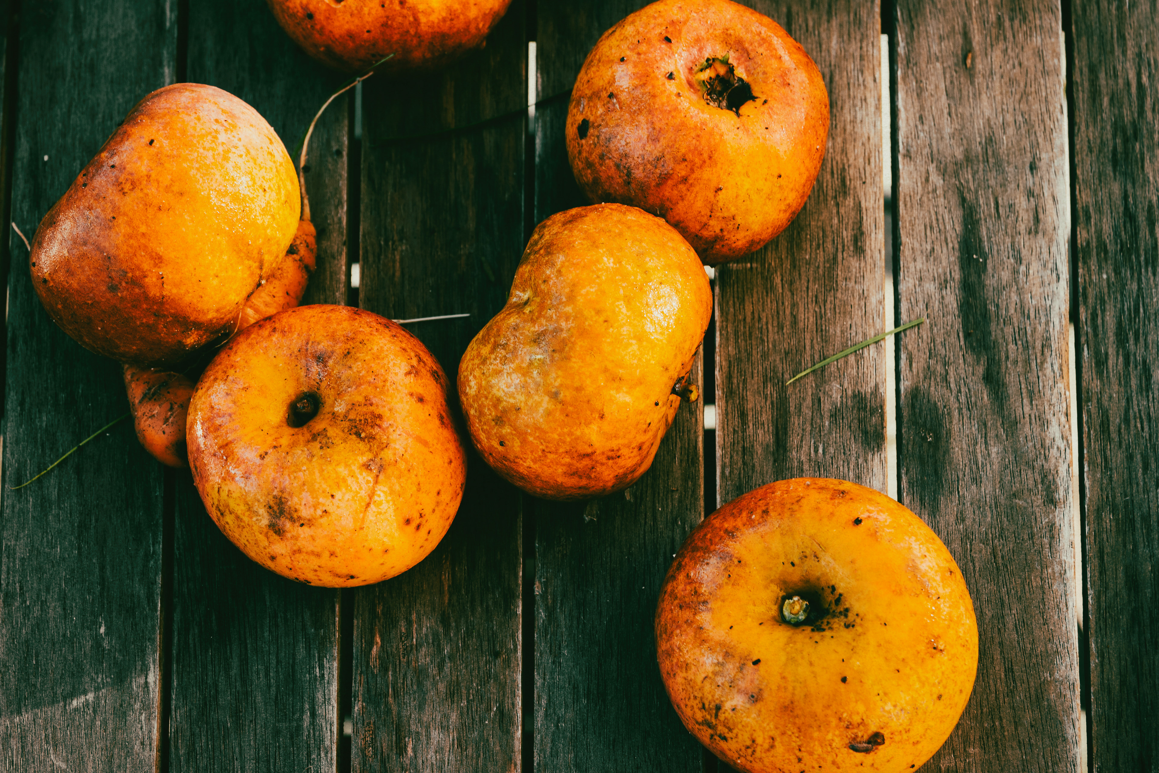 "In a world where apples can be orange, imagine the possibilities that lie in thinking differently."