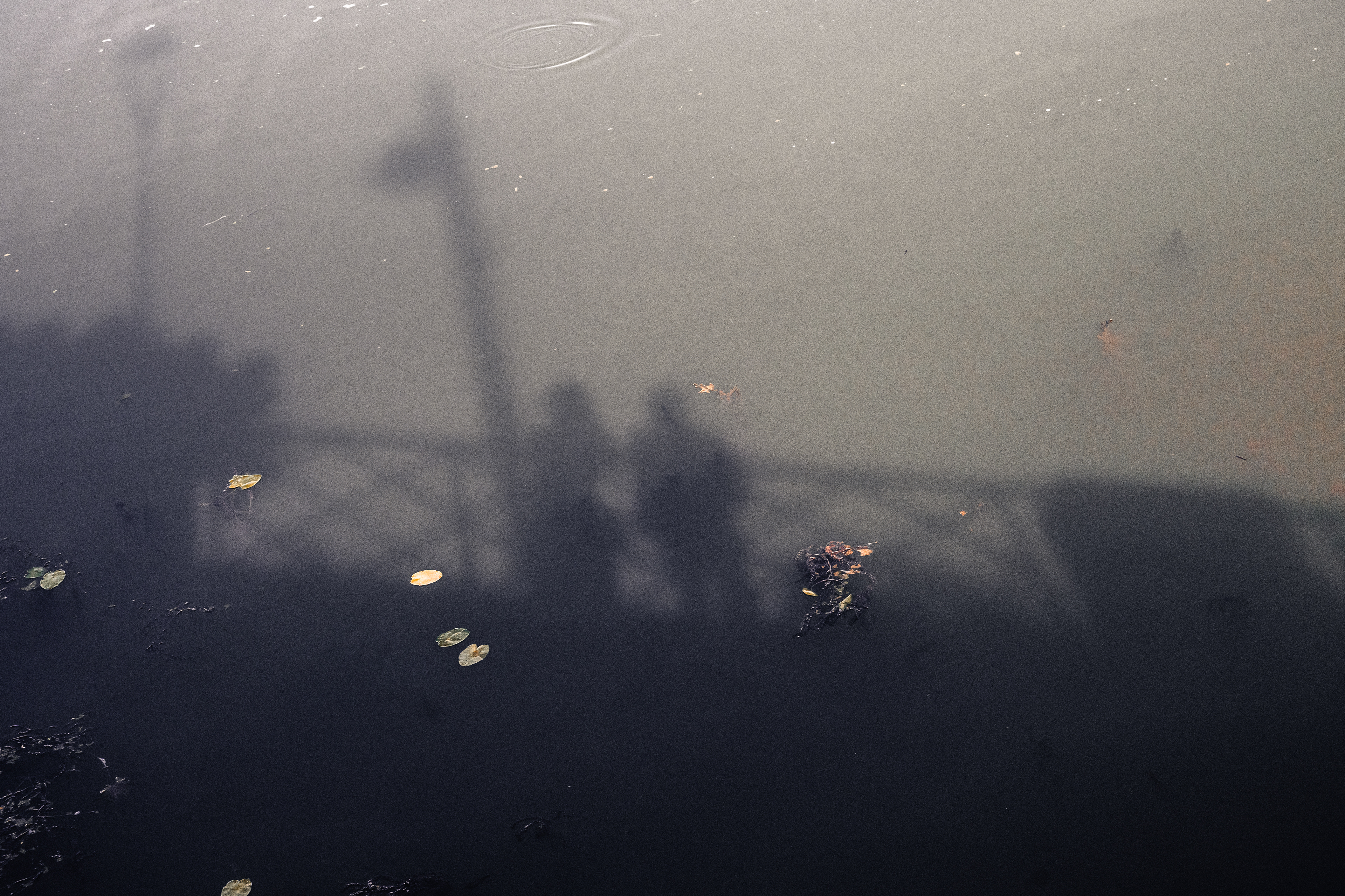 OUR SHADOWS ON MACON'S WATERS