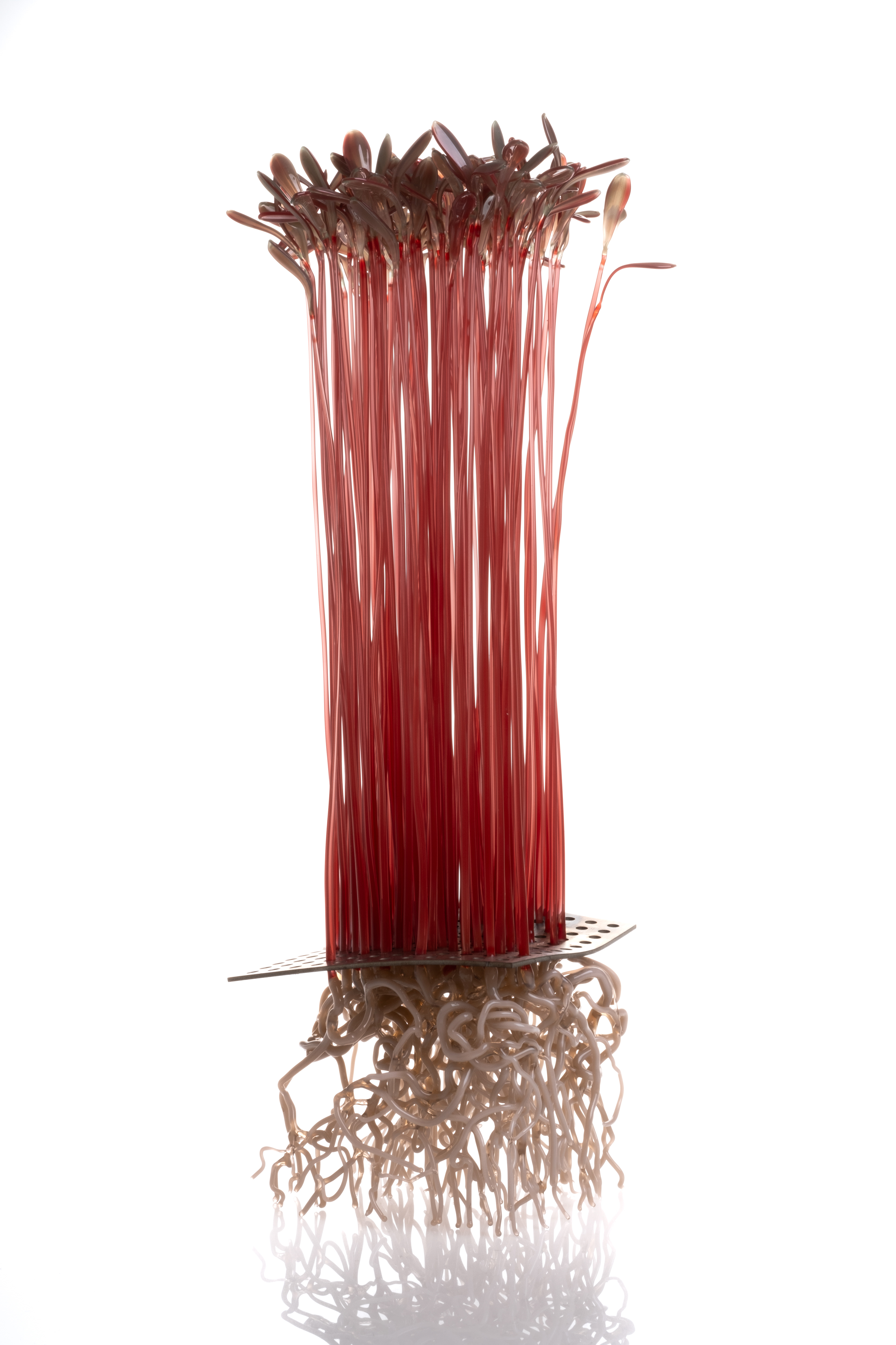 Microgreen, AMARATH Flamaworking Glass, stainless steel 20x20x42cm 2026