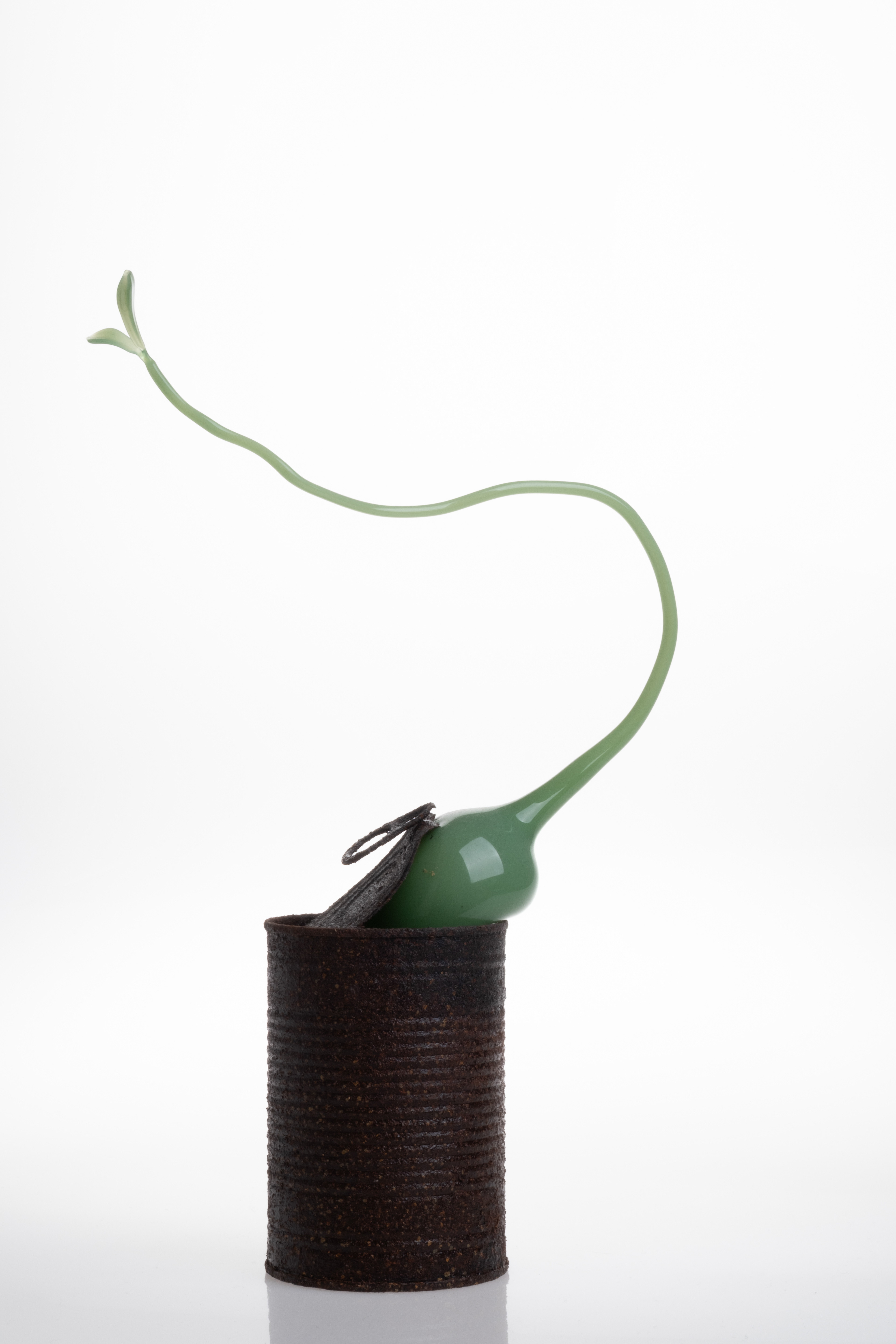 Trachea Glassblowing Glass, metal tin 18x6x31cm 2024