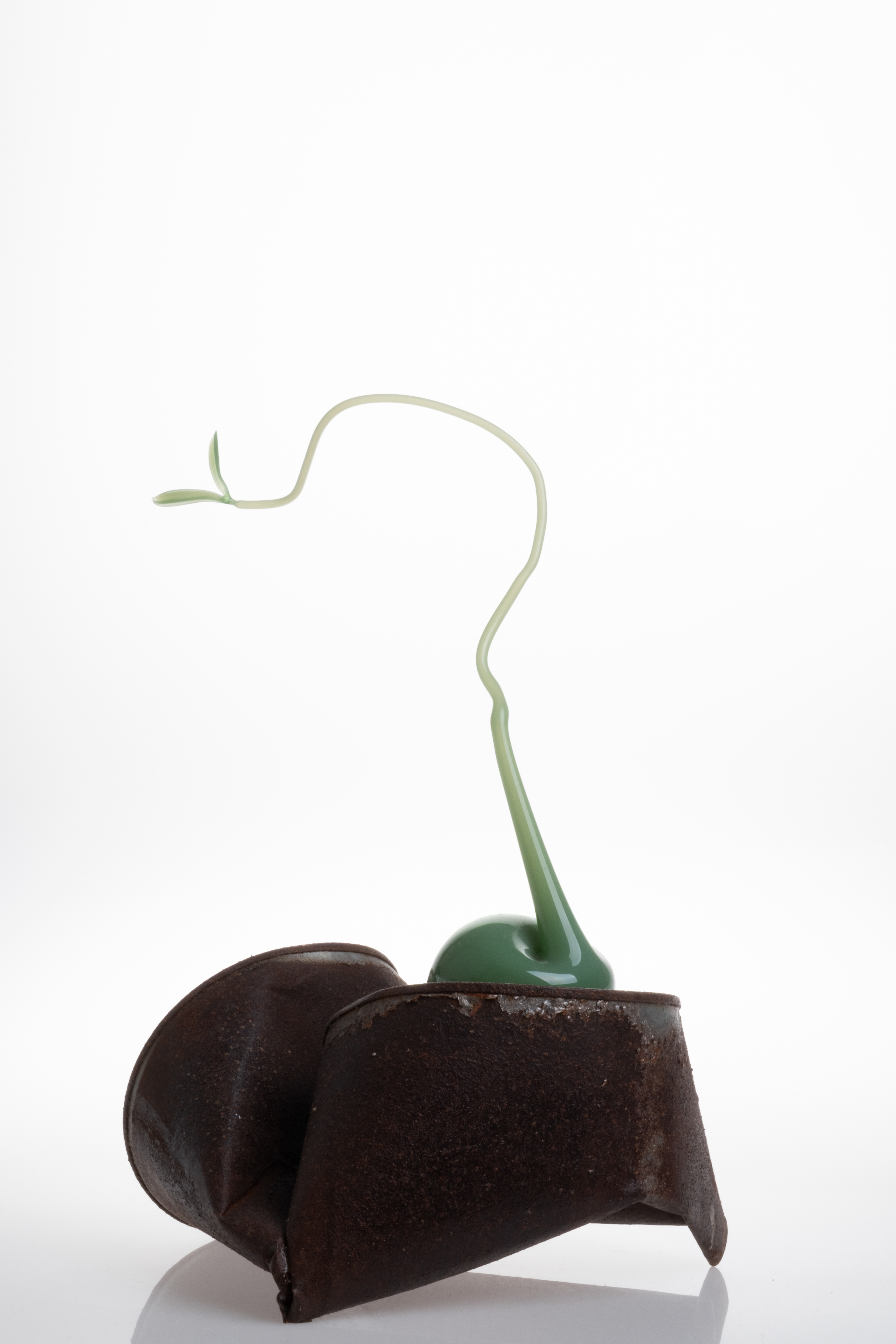 Trachea Glassblowing Glass, metal tin 18x18x30 2024