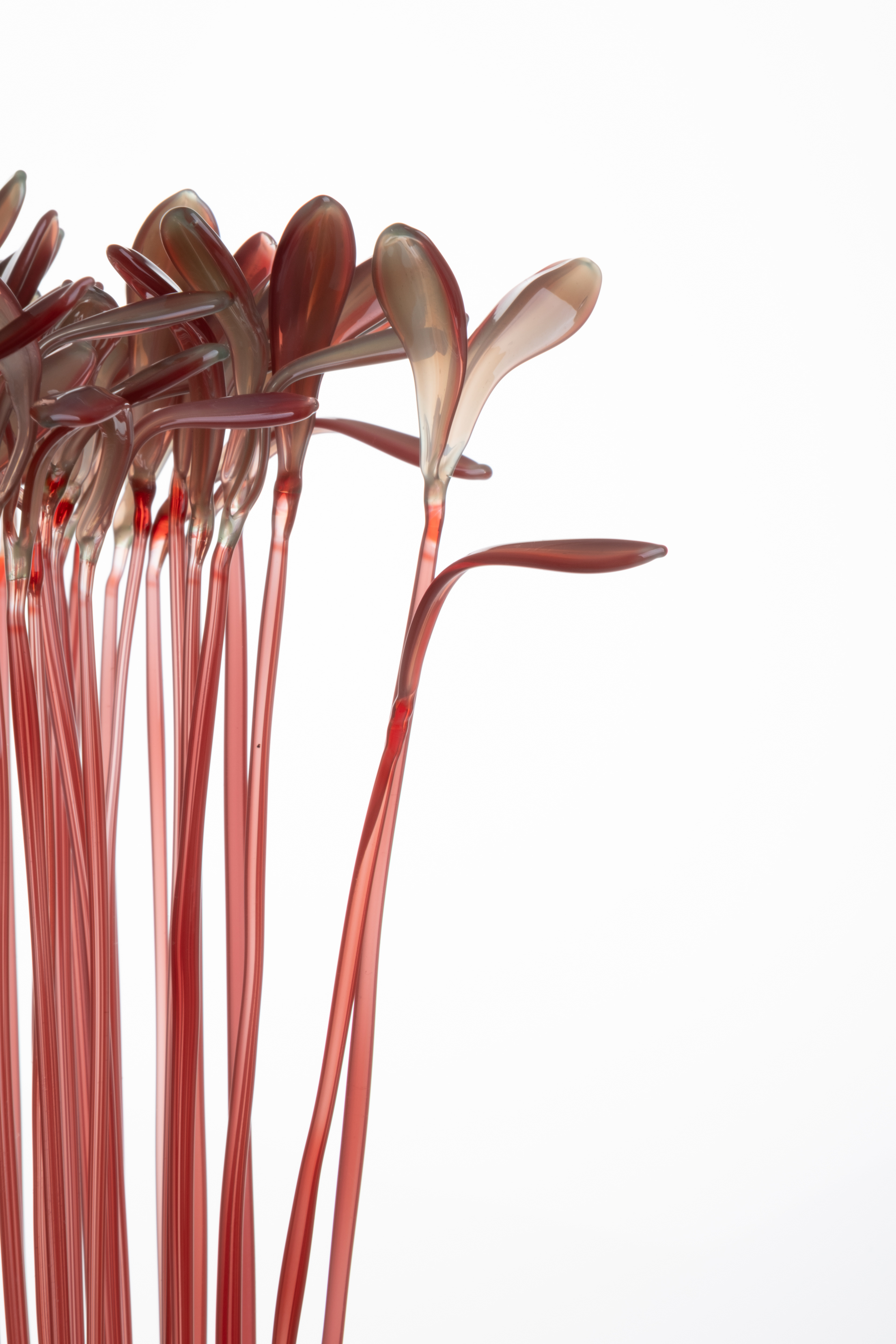 Microgreen, AMARATH Flamaworking Glass, stainless steel 20x20x42cm 2026