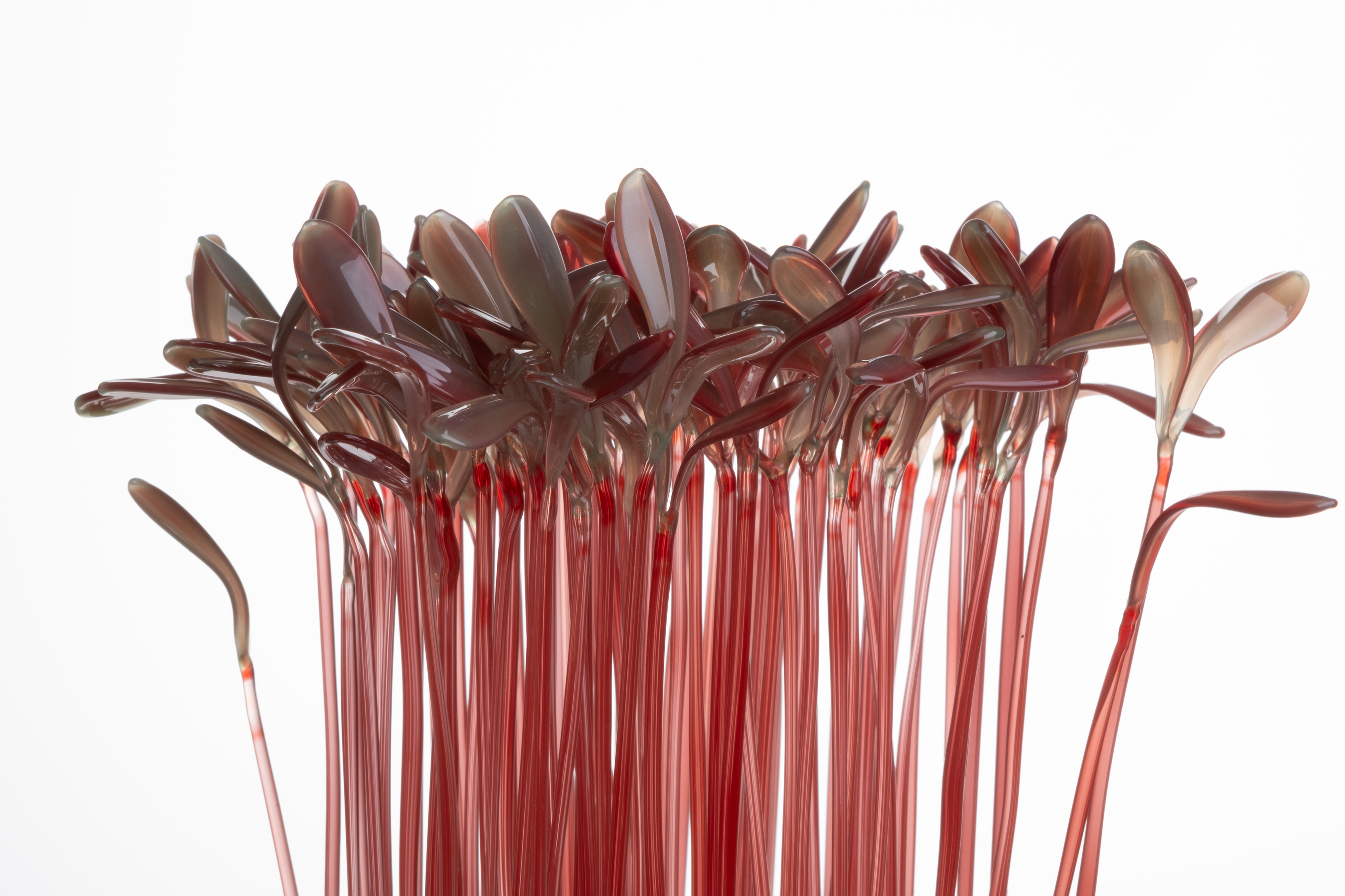 Microgreen, AMARATH Flamaworking Glass, stainless steel 20x20x42cm 2026
