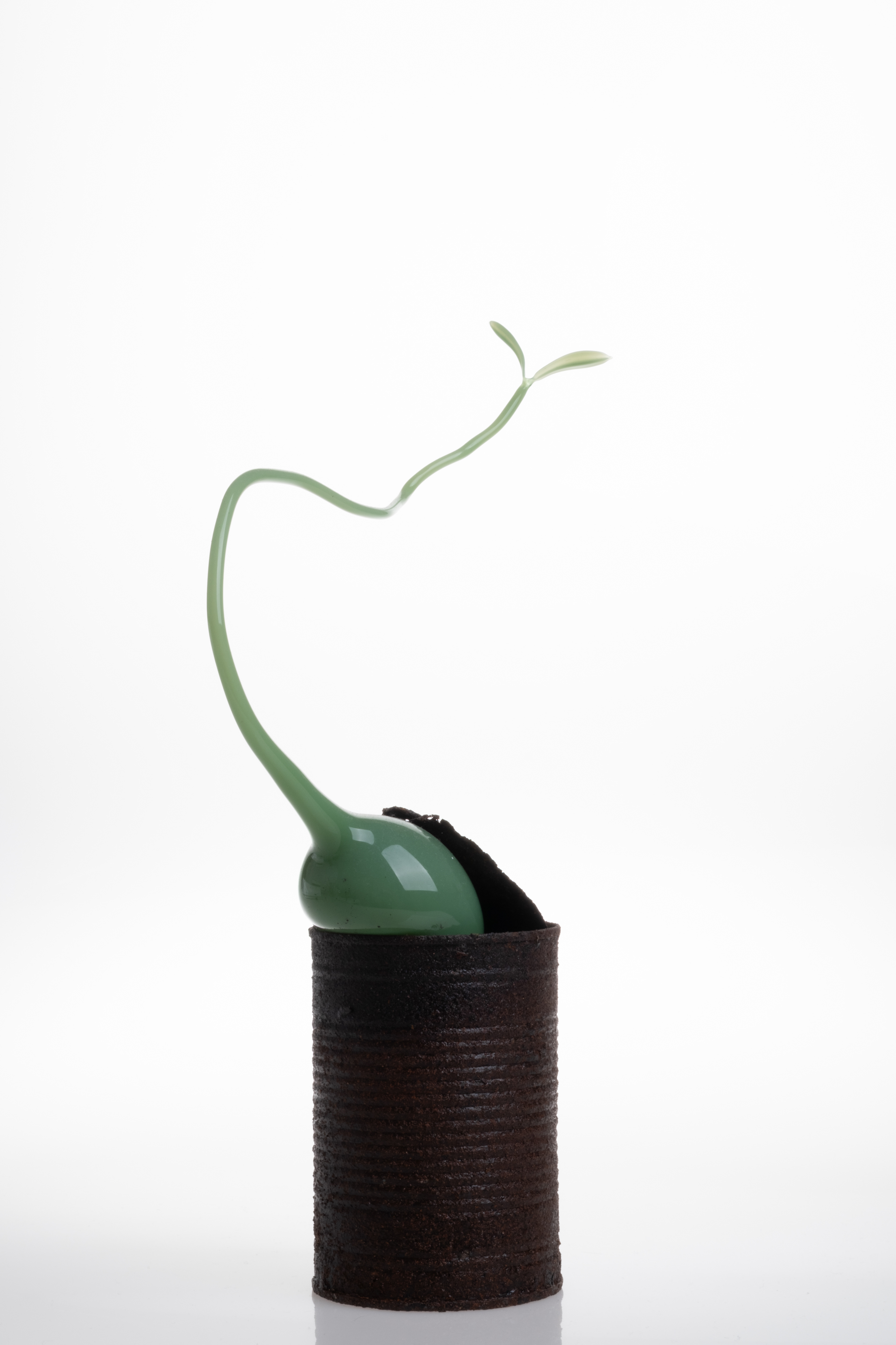 Trachea Glassblowing Glass, metal tin 18x6x31cm 2024