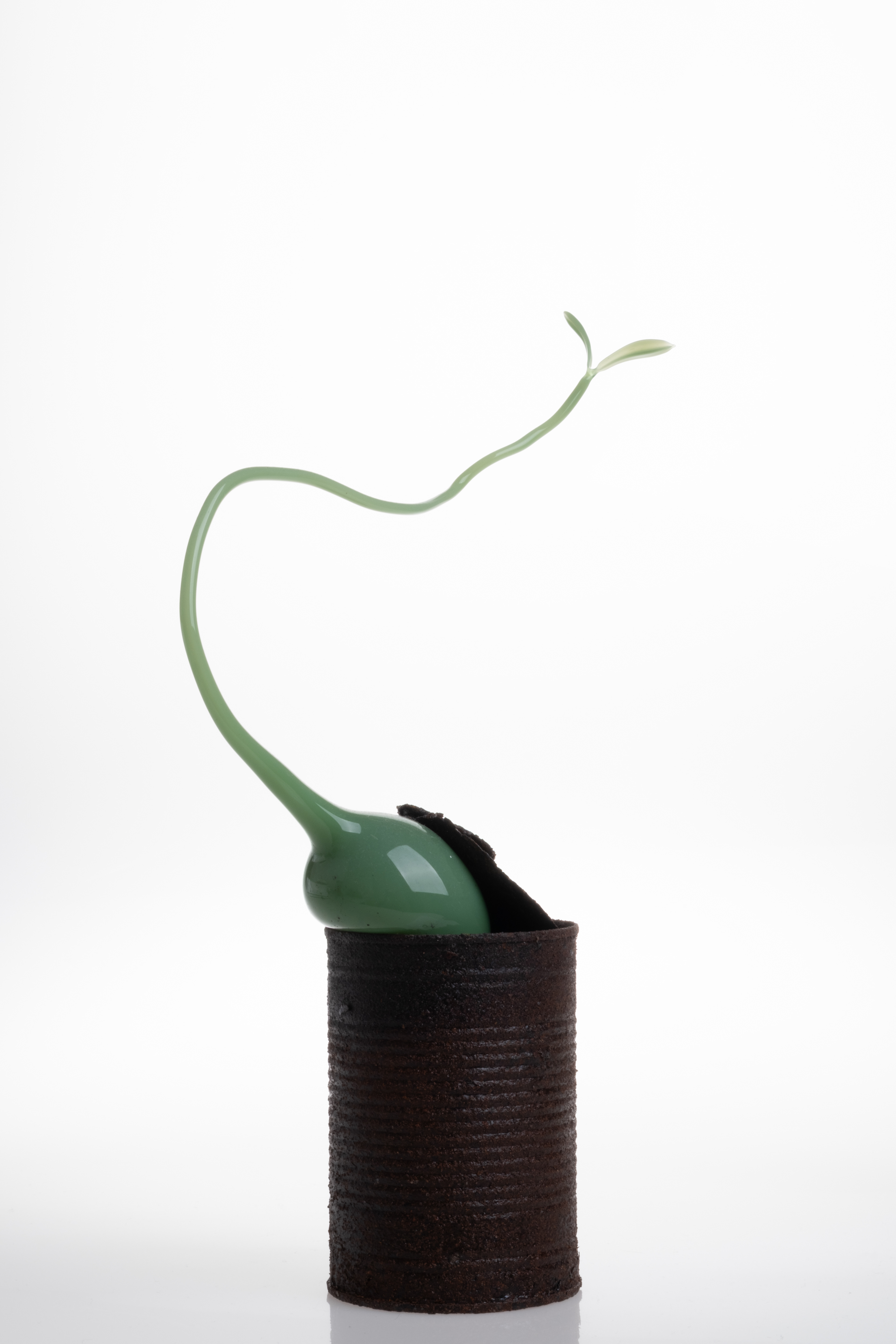 Trachea Glassblowing Glass, metal tin 18x6x31cm 2024