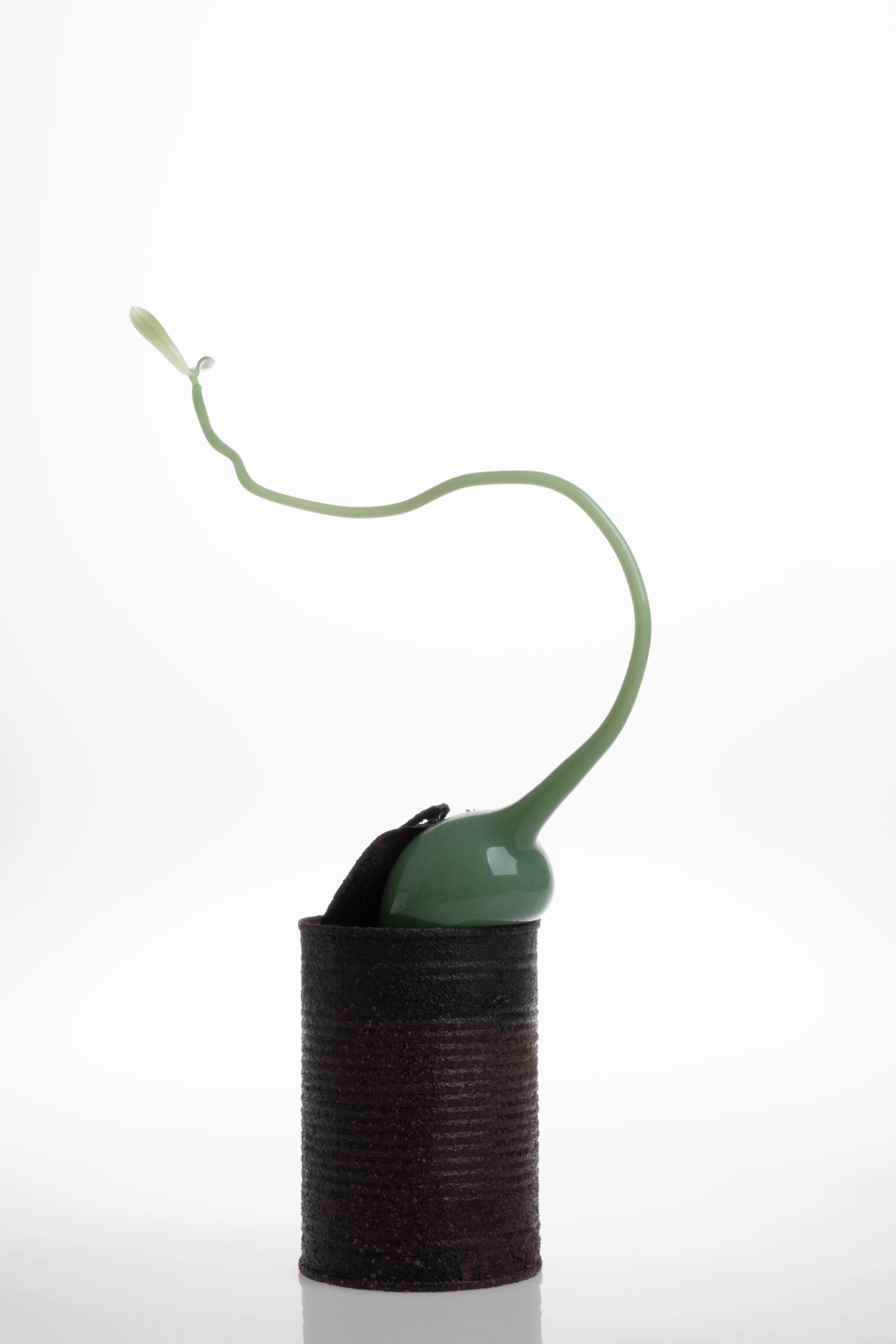 Trachea Glassblowing Glass, metal tin 18x6x31cm 2024