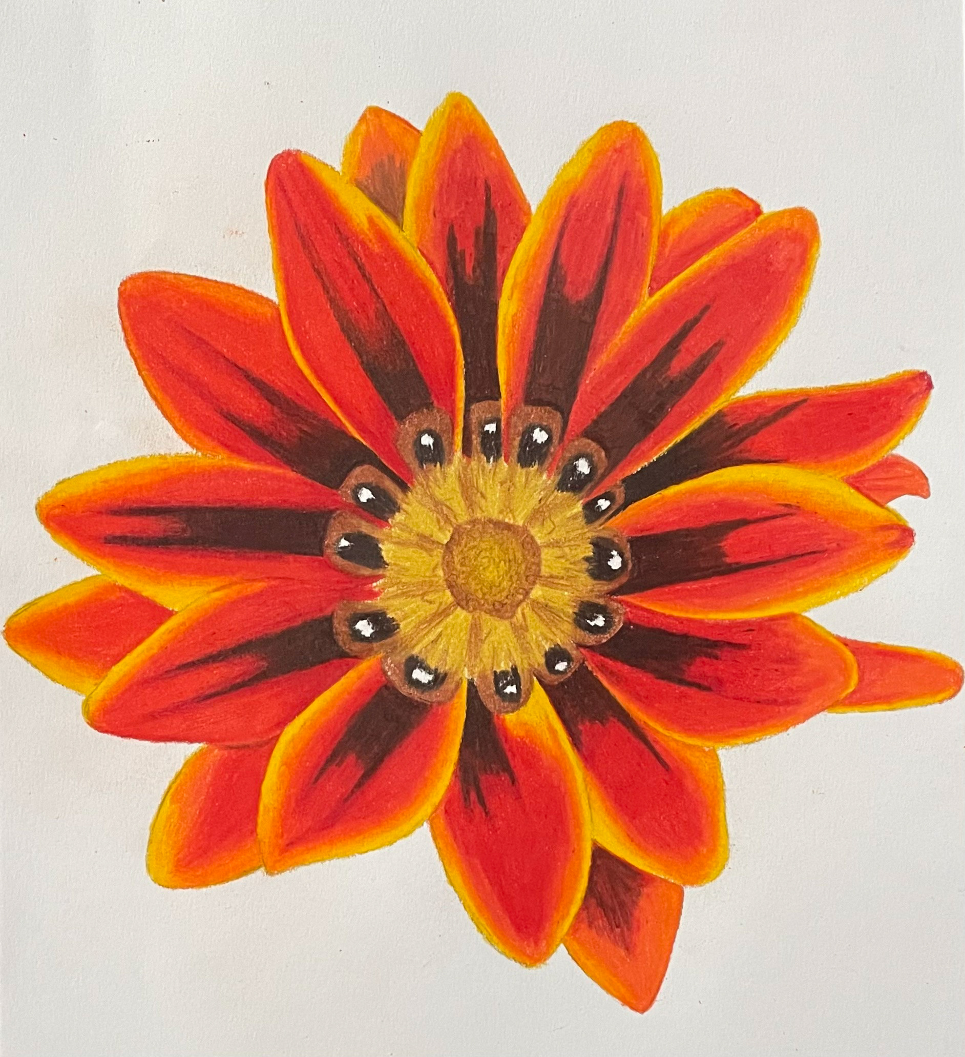 Flowers created on 8x11 mixed media paper with alcohol markers and colored pencils. 