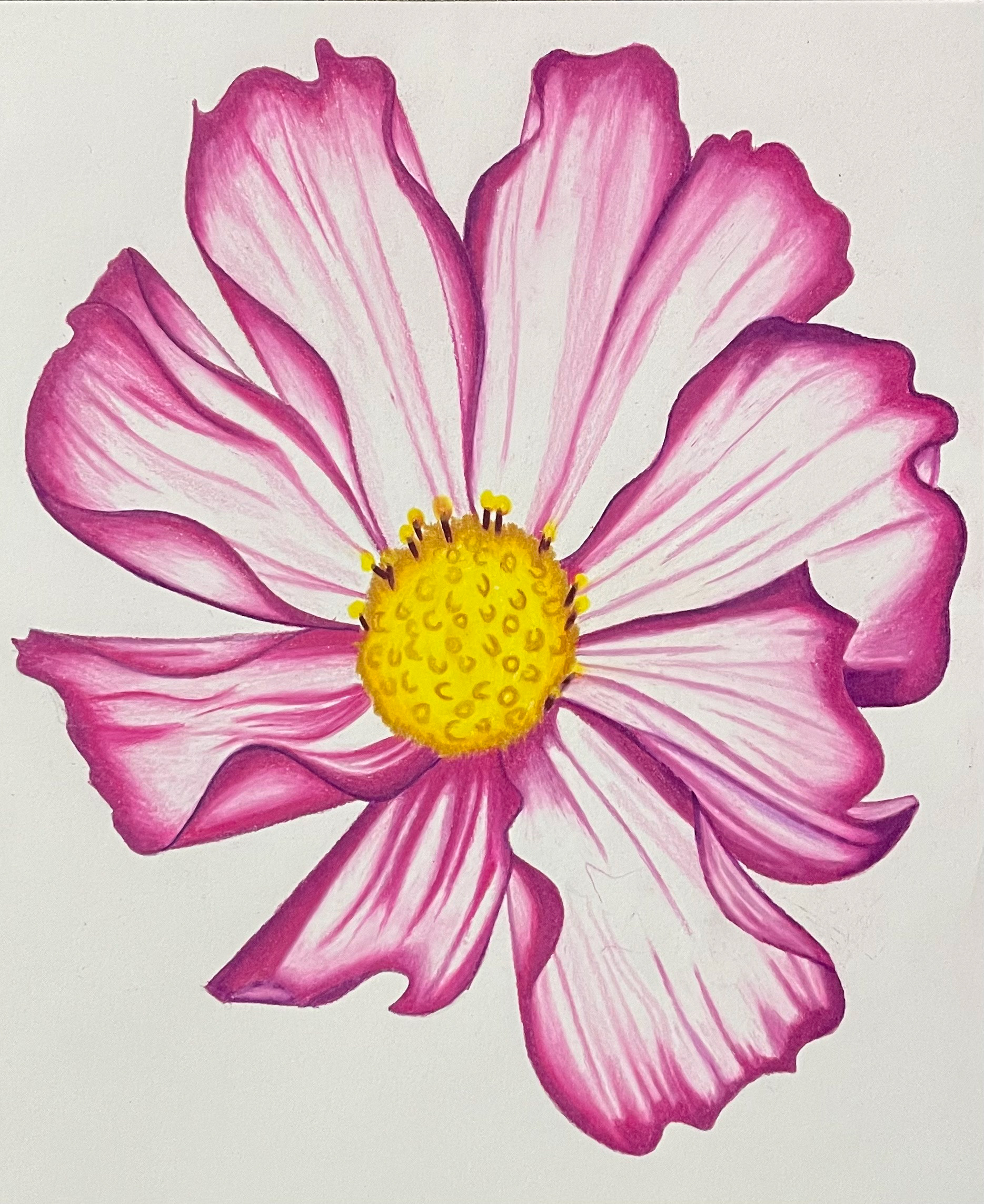 Flowers created on 8x11 mixed media paper with alcohol markers and colored pencils.