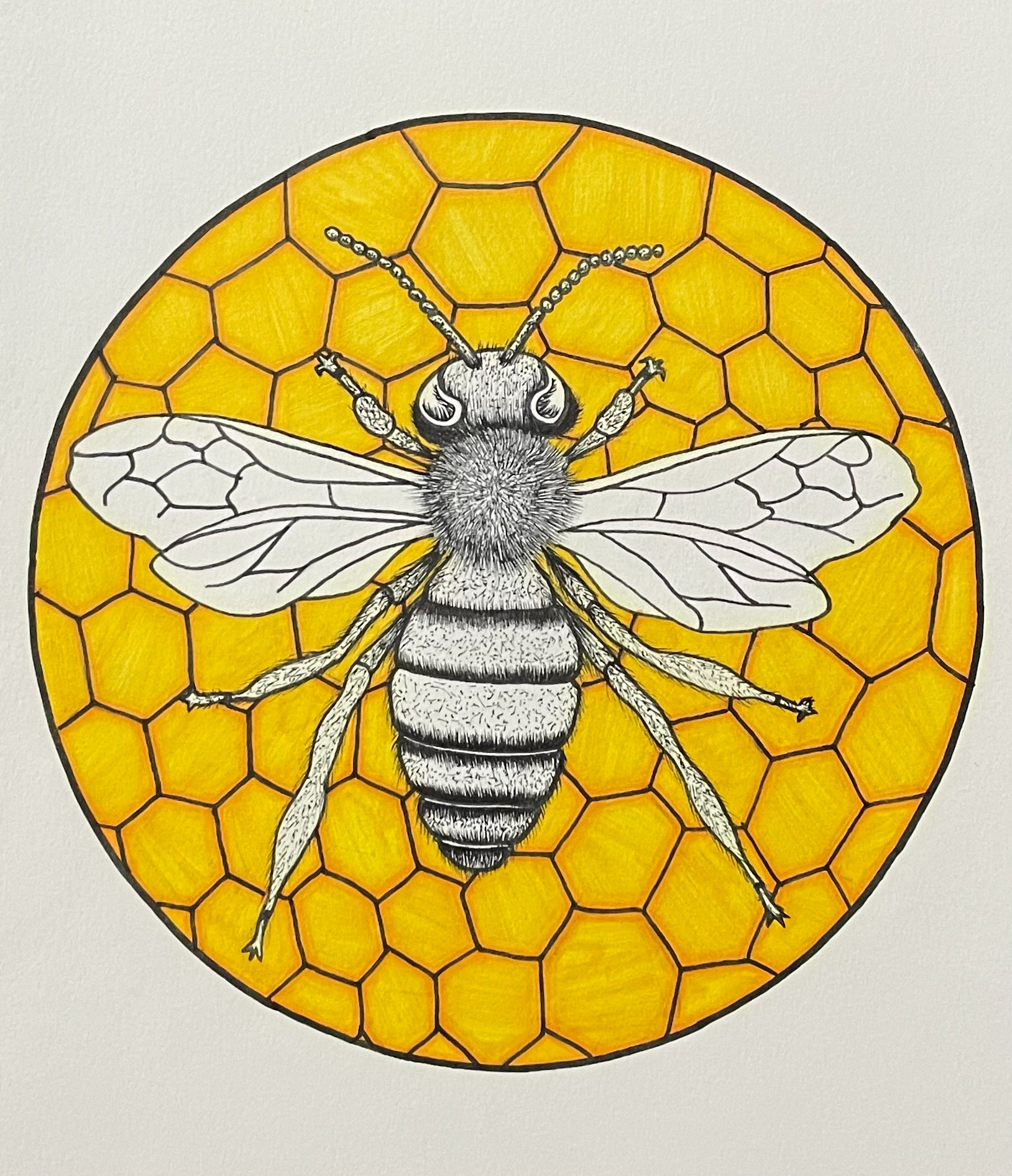 bee drawn with sharpie markers on small paper