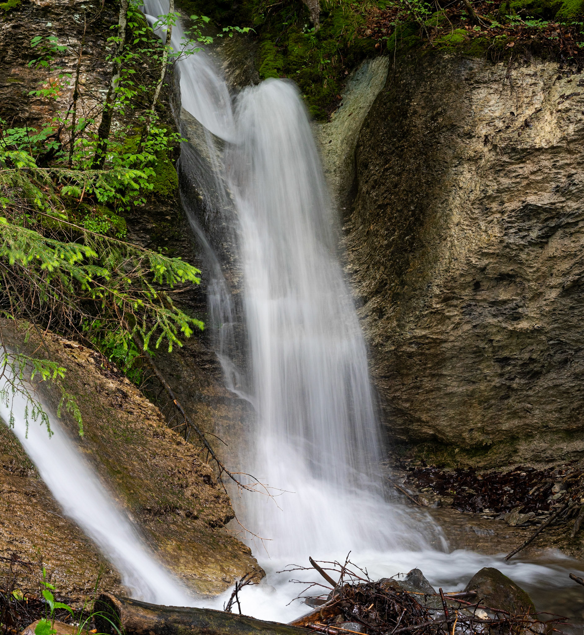 LONG HAIR WOMAN - FILZBACH
