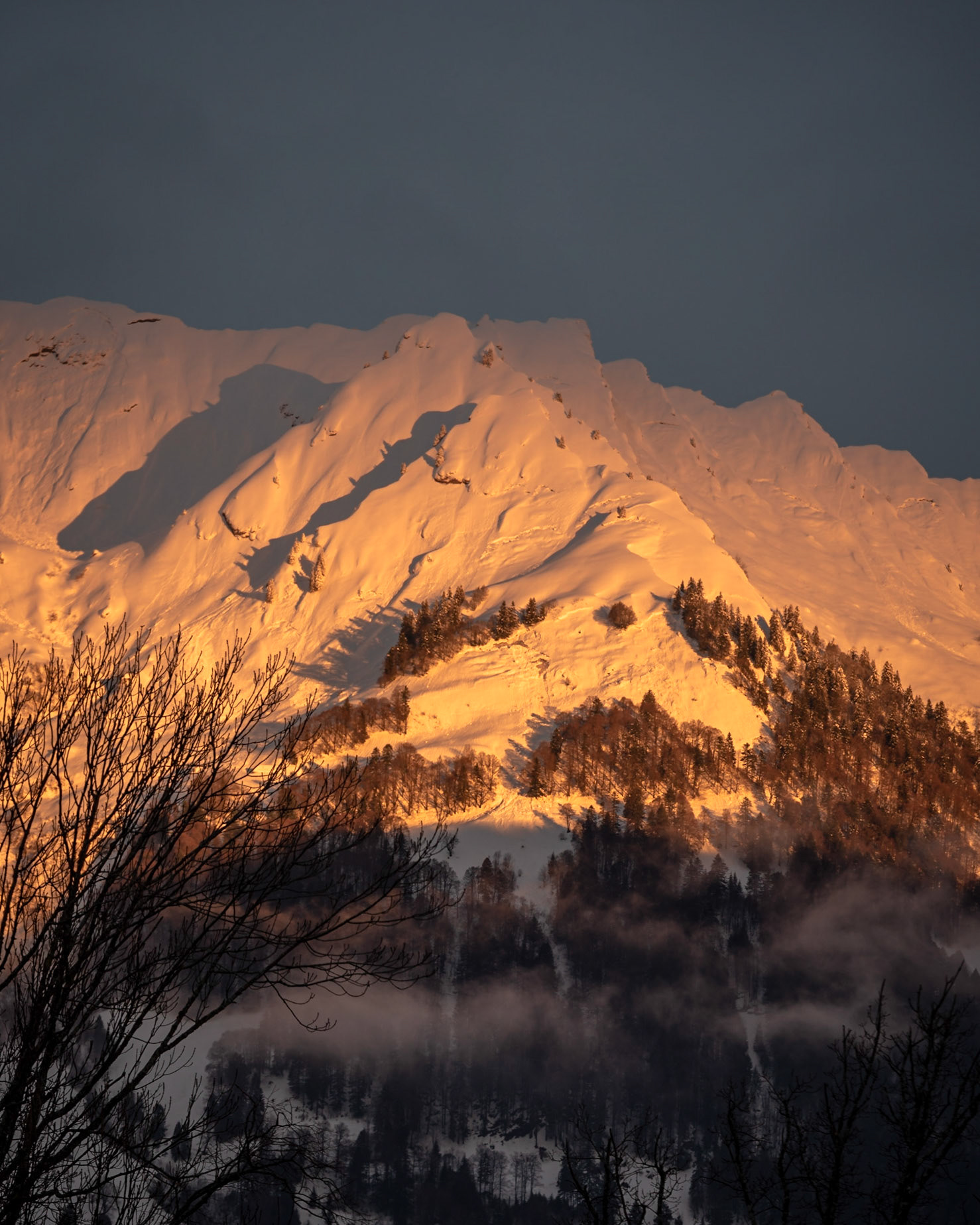 SUNRISE, SUNRISE - Federispitz