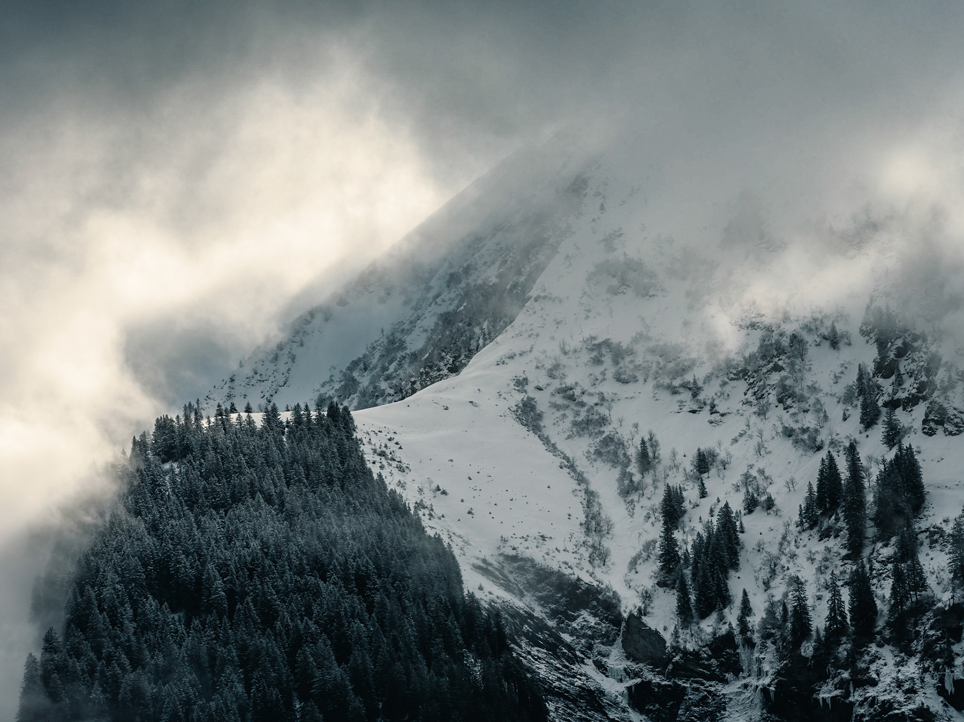 MISTY MOUNTAINS - ELM