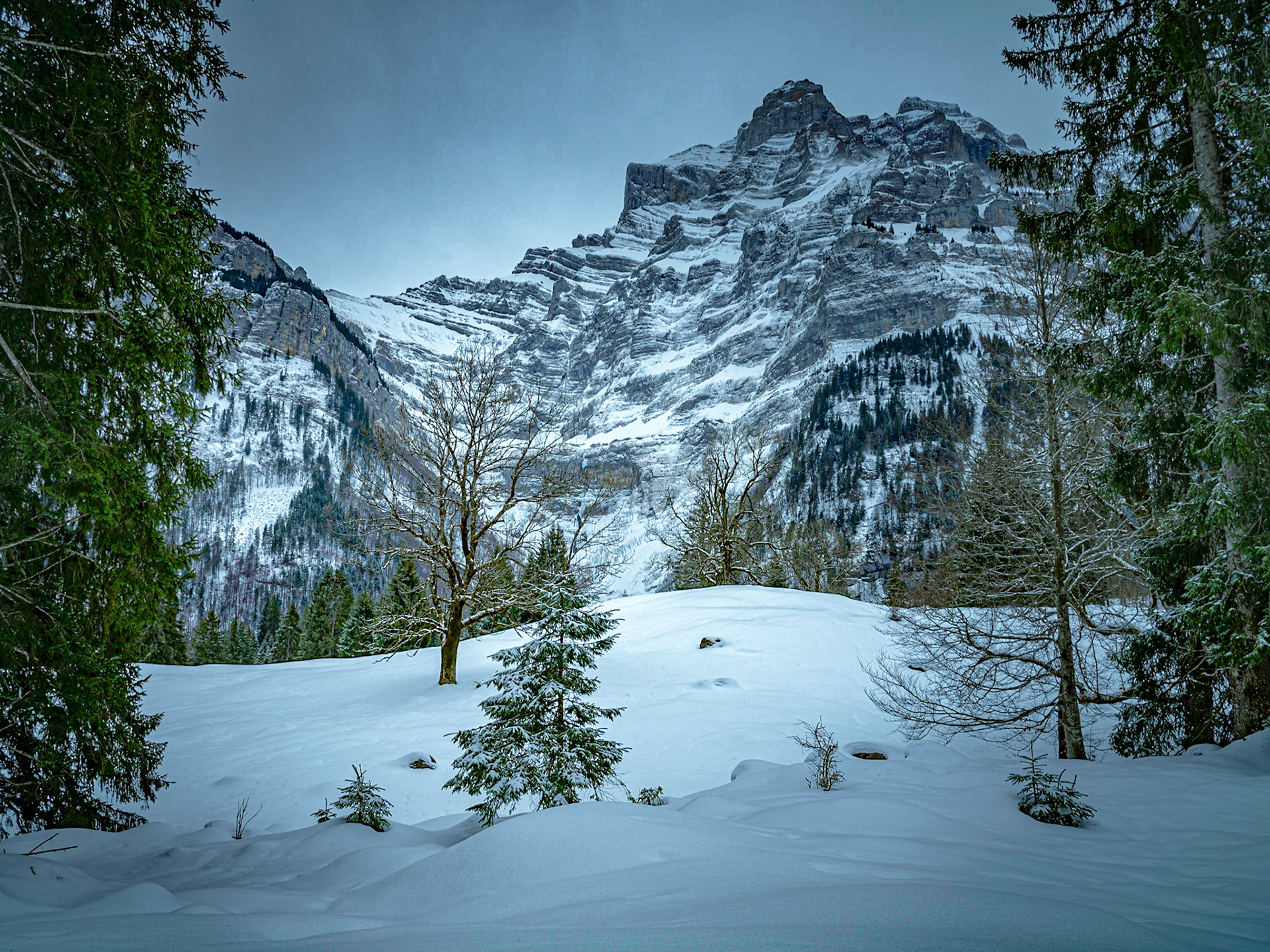 VRIINELISGÄÄRTLI (GLÄRNISCH)