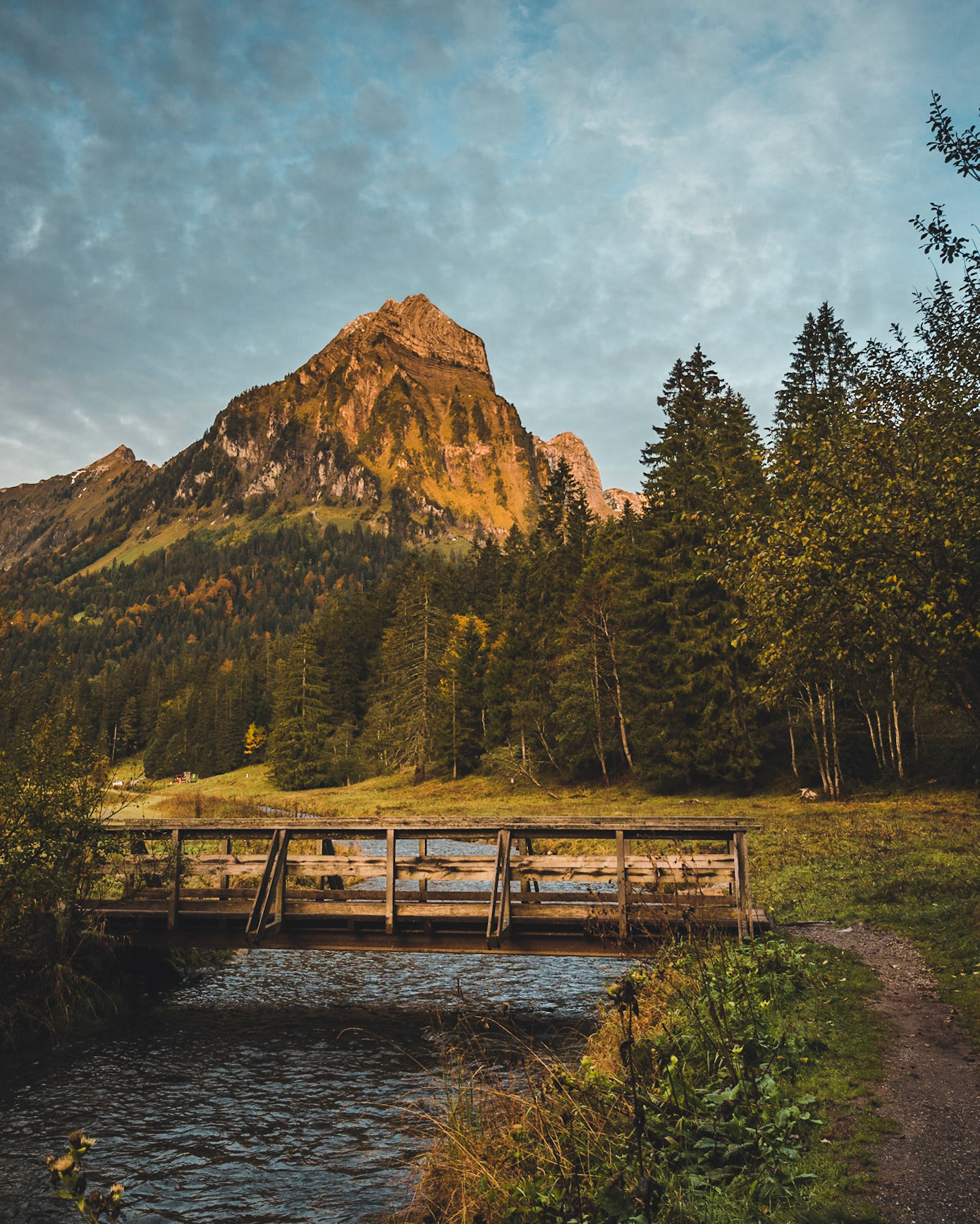 BRÜGGLI BRÜNNELISTOCK