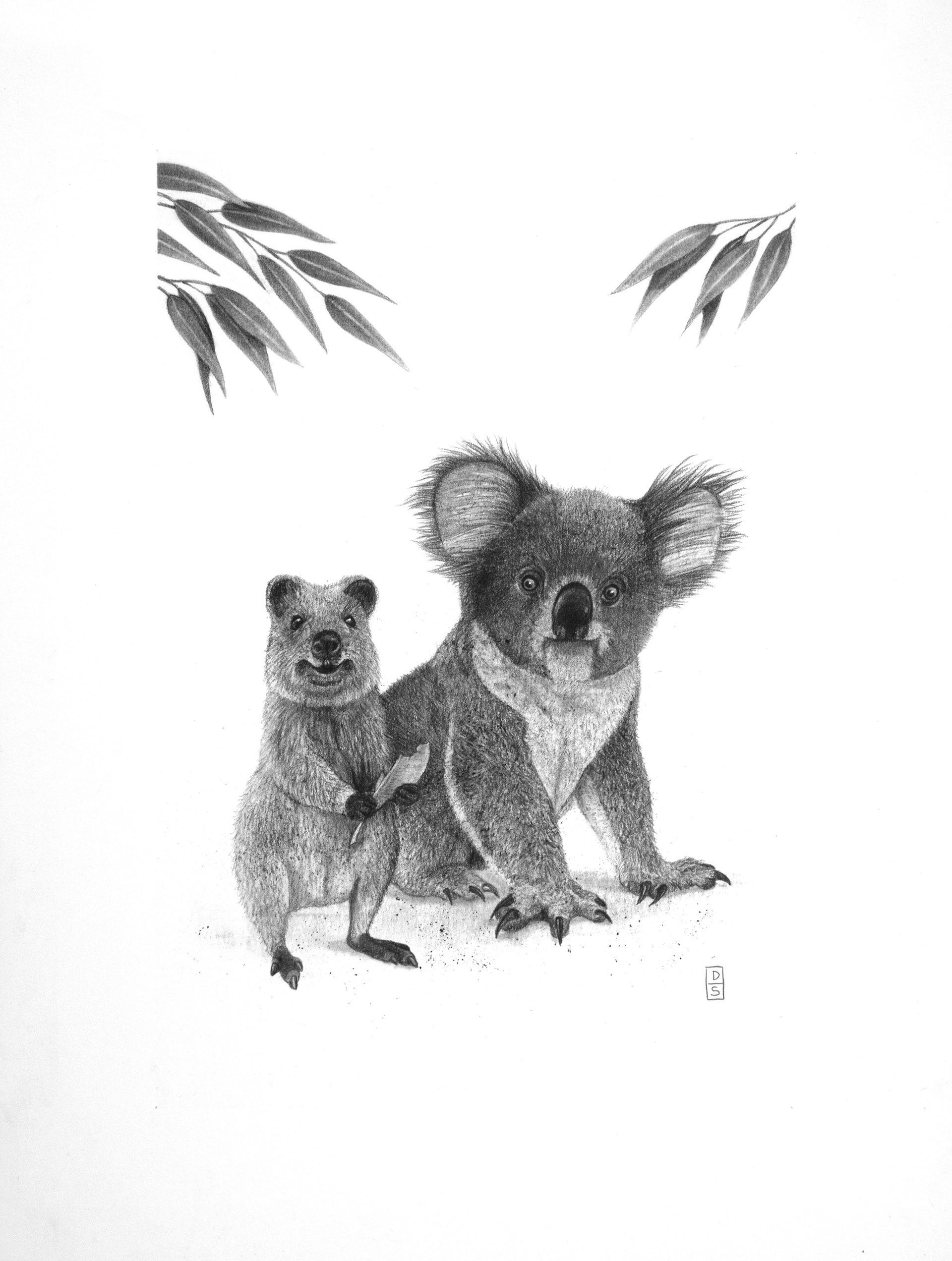 Koala (Mâle, S'asseoir) - Arctique et Antarctique / Zone Pacifique -  Artisanat réaliste/Animaux - Créations en papier - Canon Creative Park