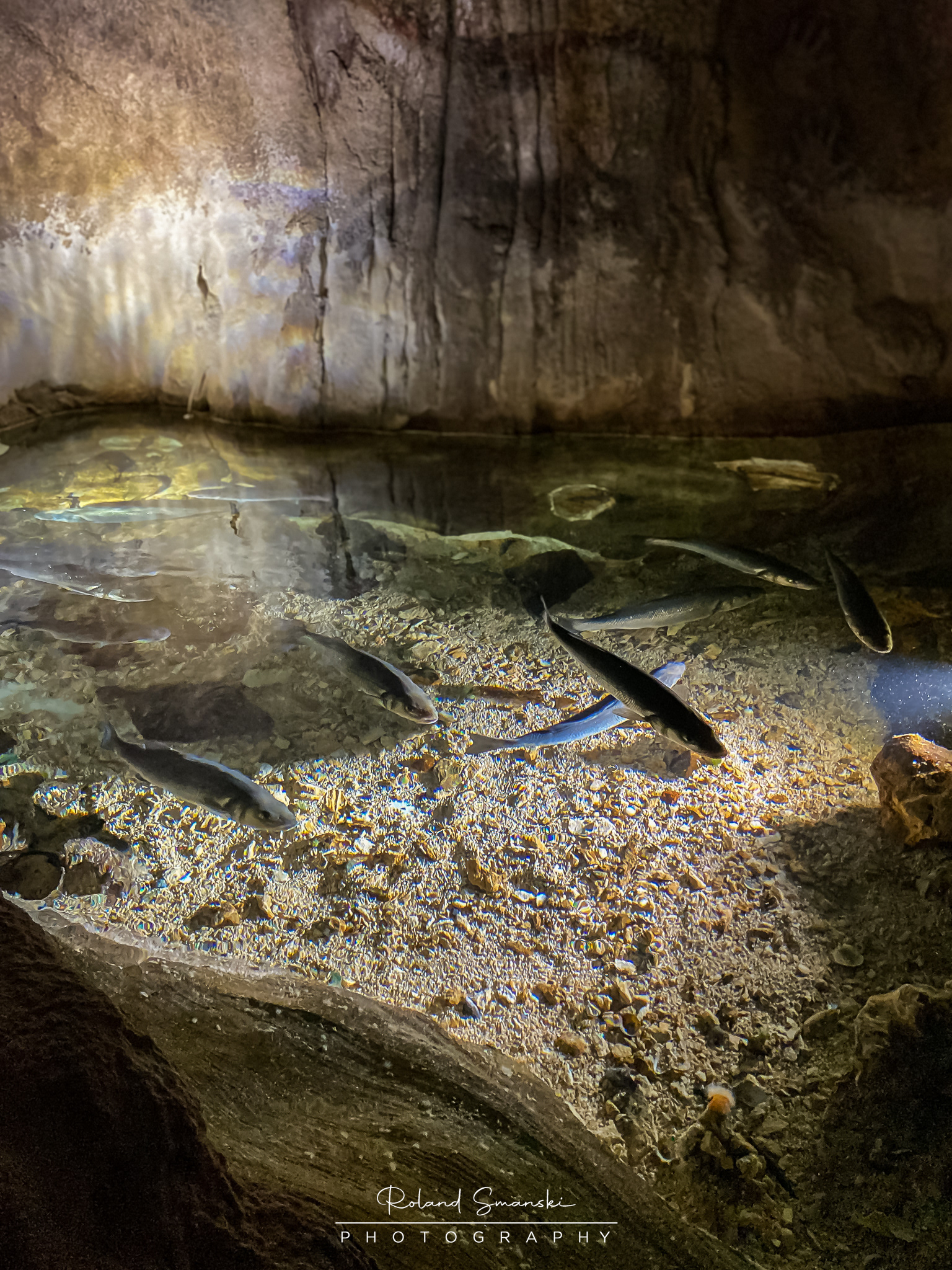 vijvers in gebouw met aquaria