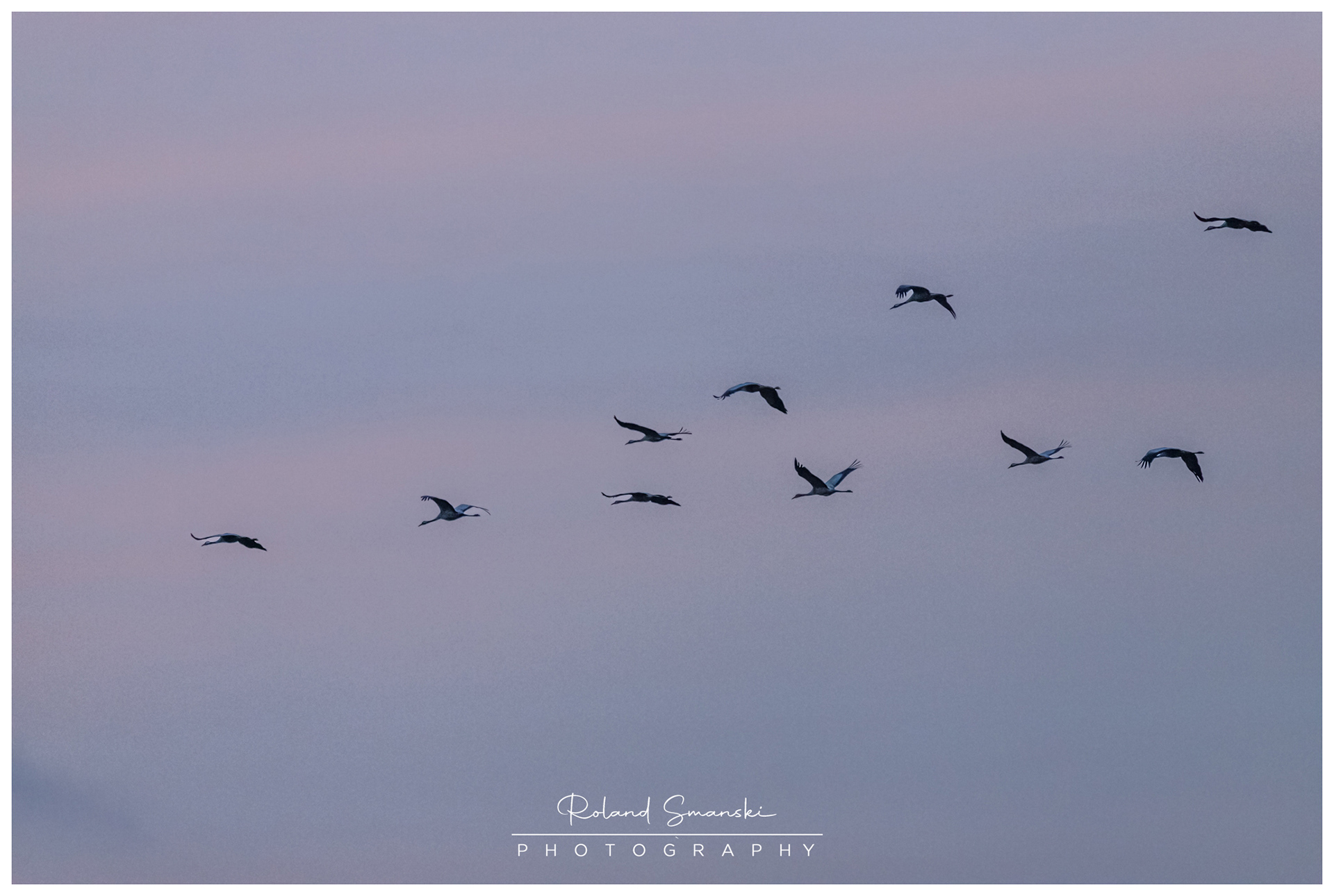 aankomst in Rehdener Moor in de avond