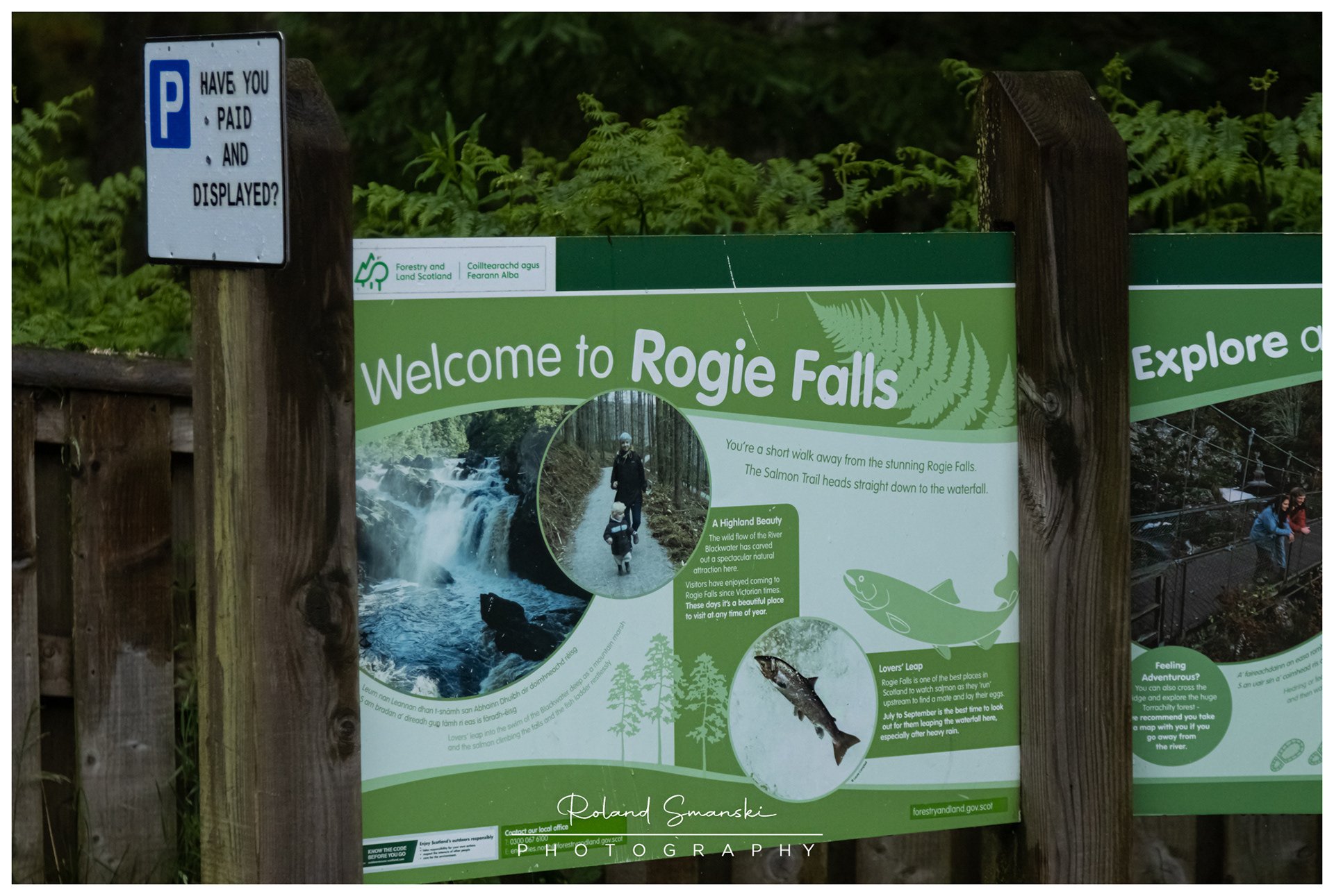 Rogie Falls