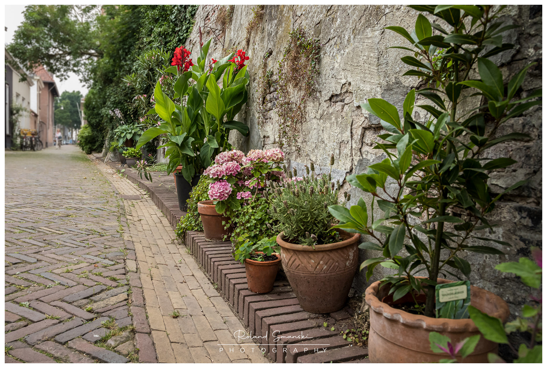 Bloemendaal