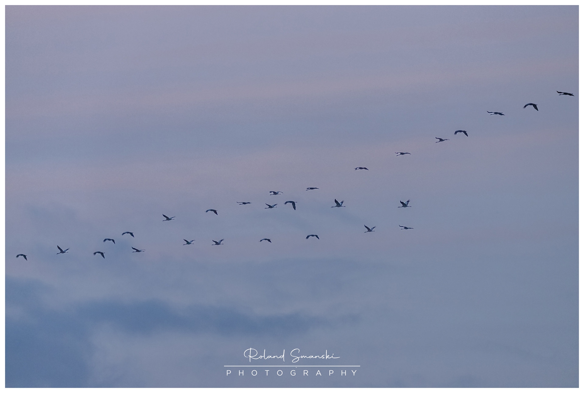 aankomst in Rehdener Moor in de avond