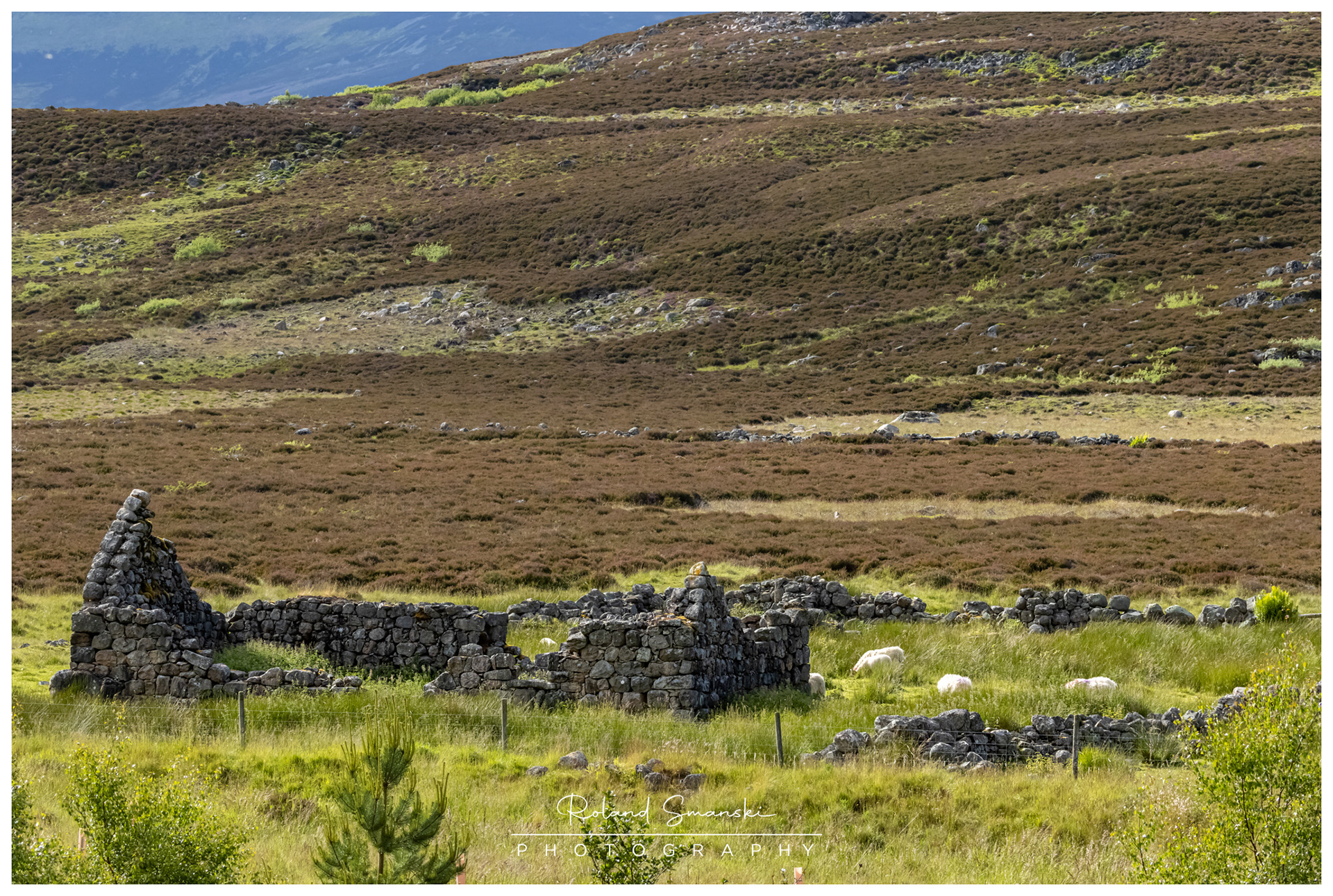 Cairngorms National Park