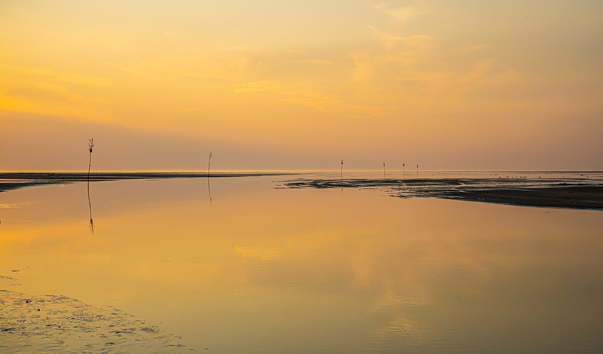 Rock Harbor