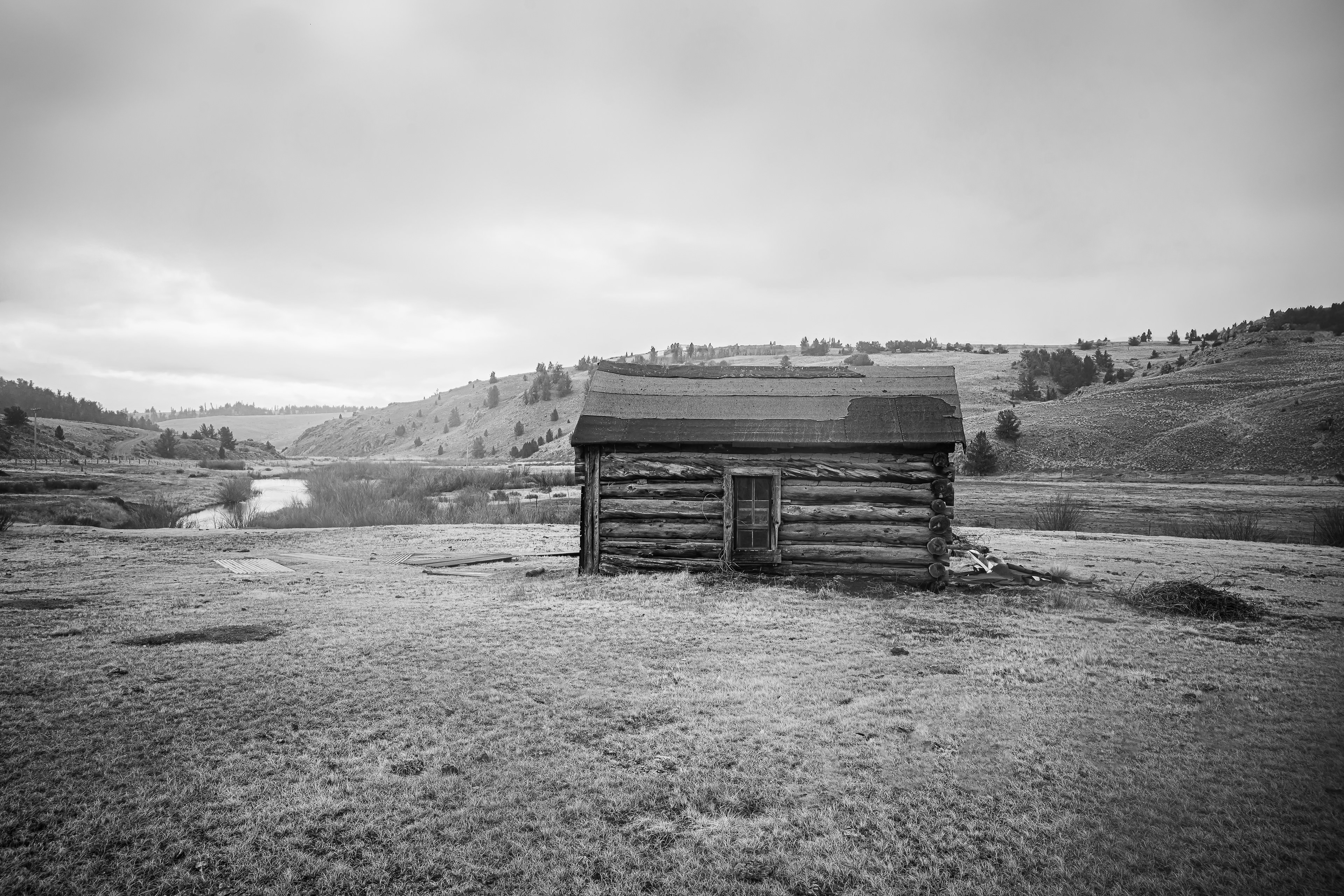 Tarryall Creek Cabin
