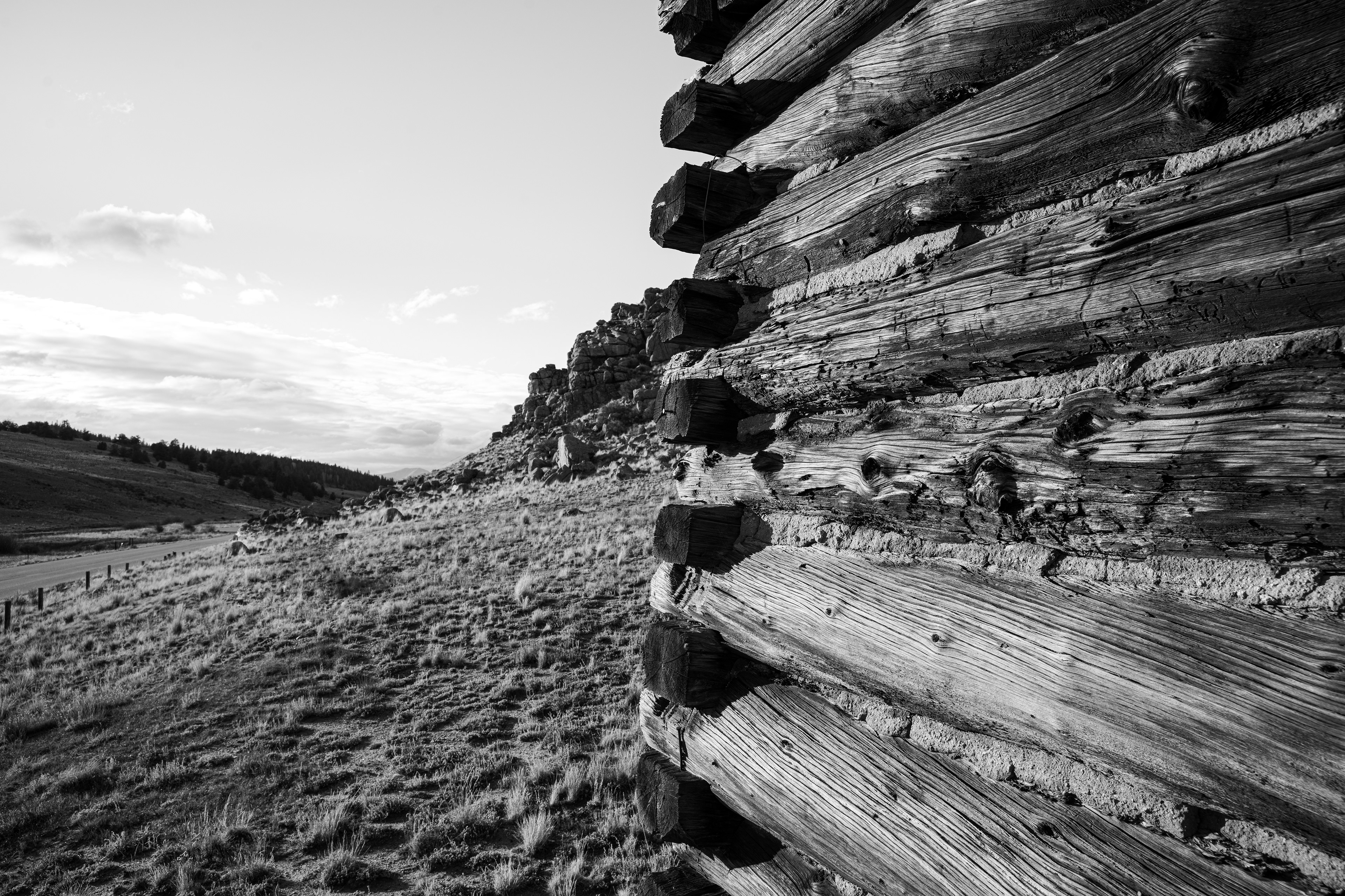 Tarryall Cabin IV