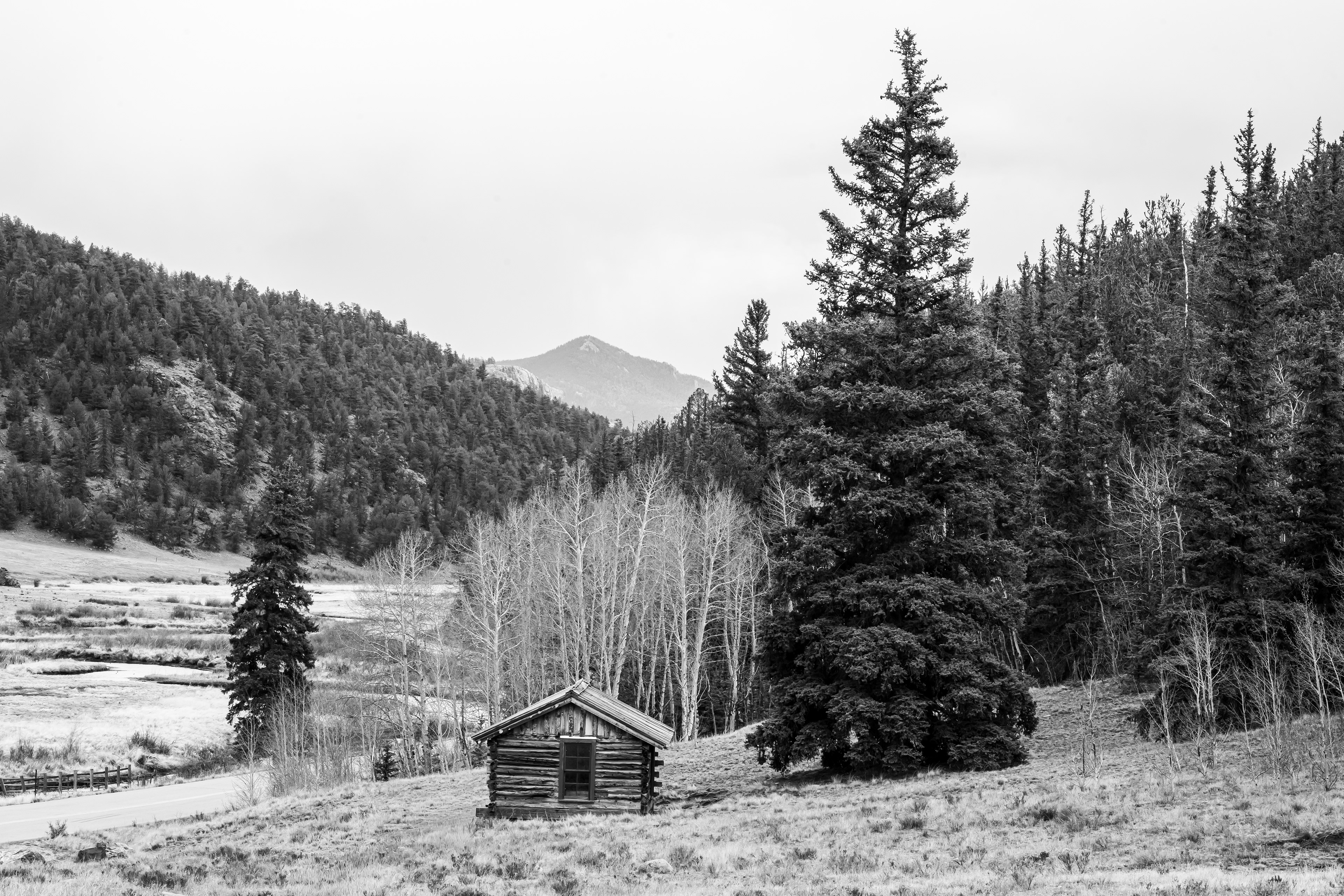 Derby Cabin