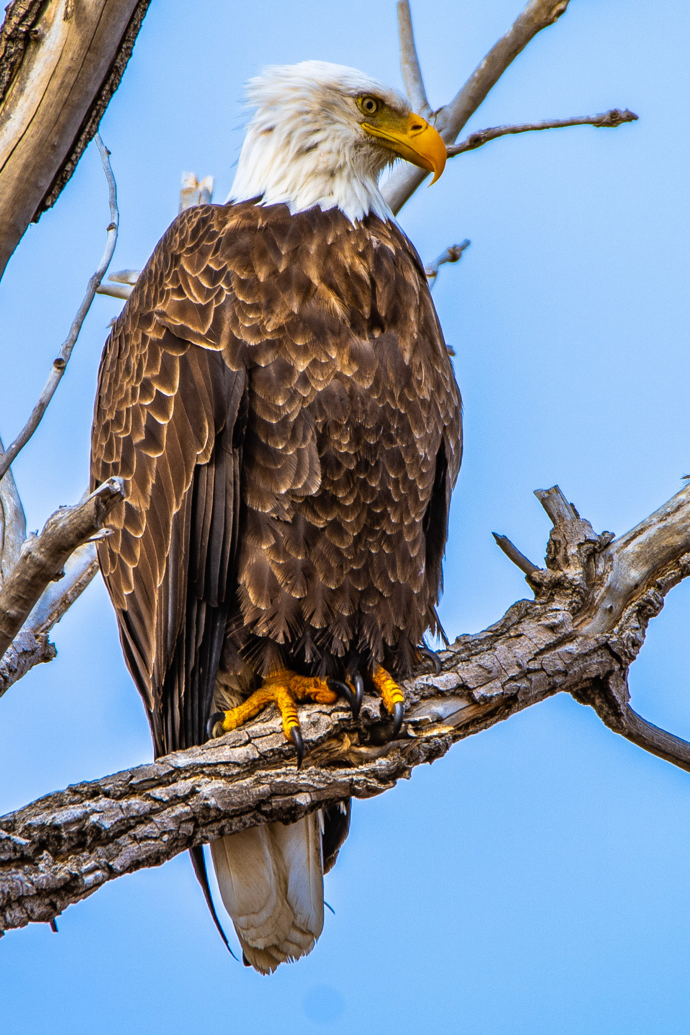Barr Lake State Park