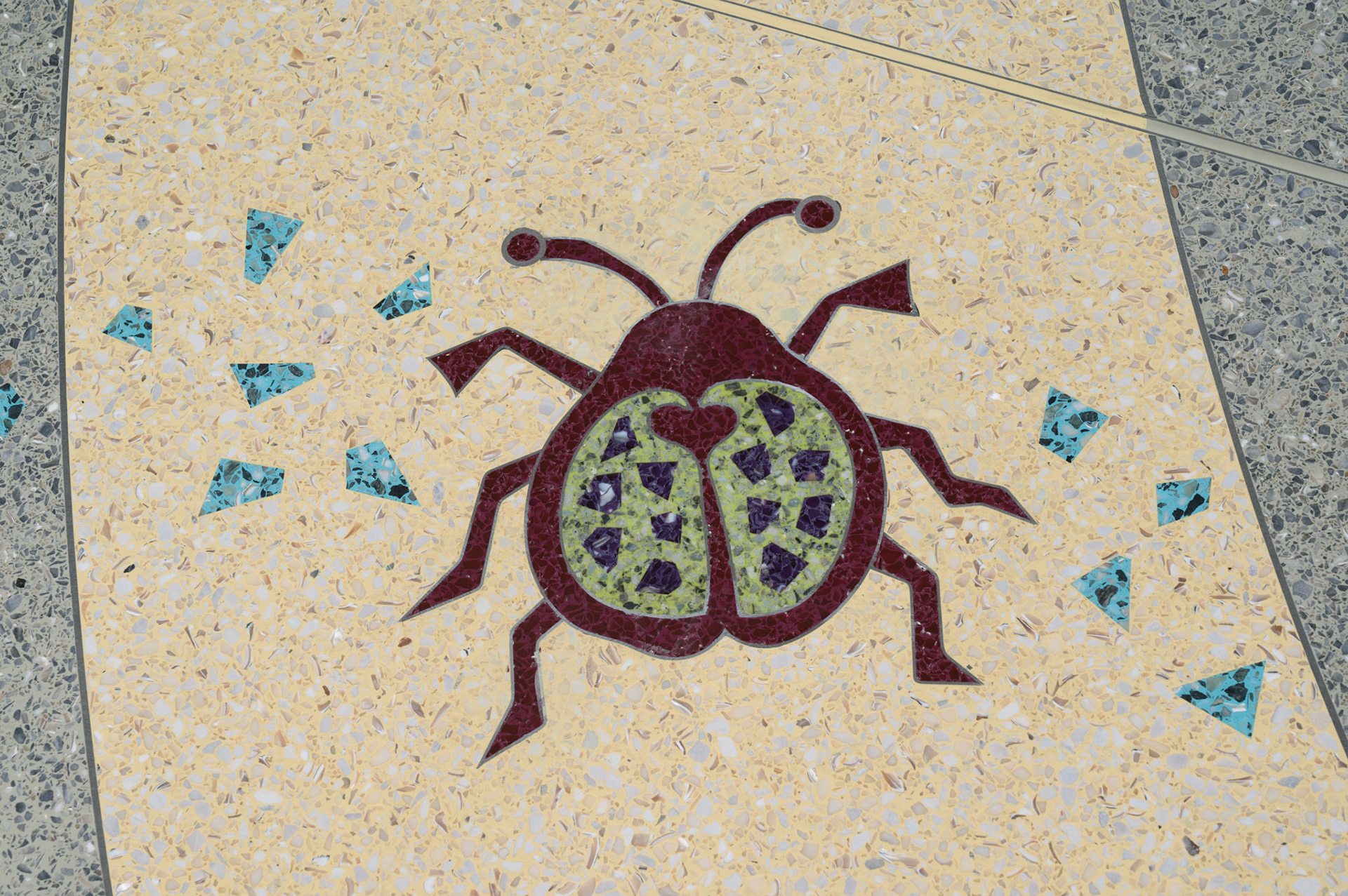 Learning Paths - Winona State University - detail