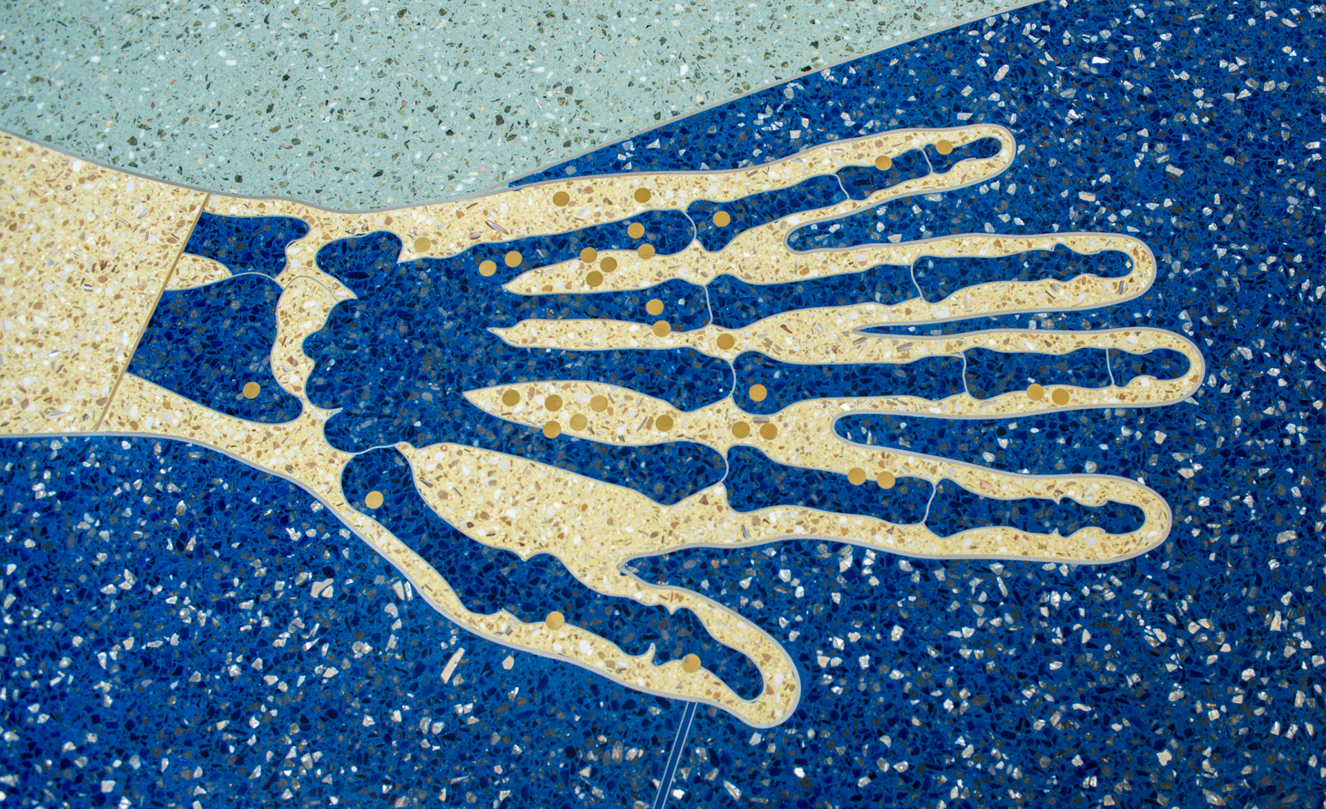 Body Geography - detail