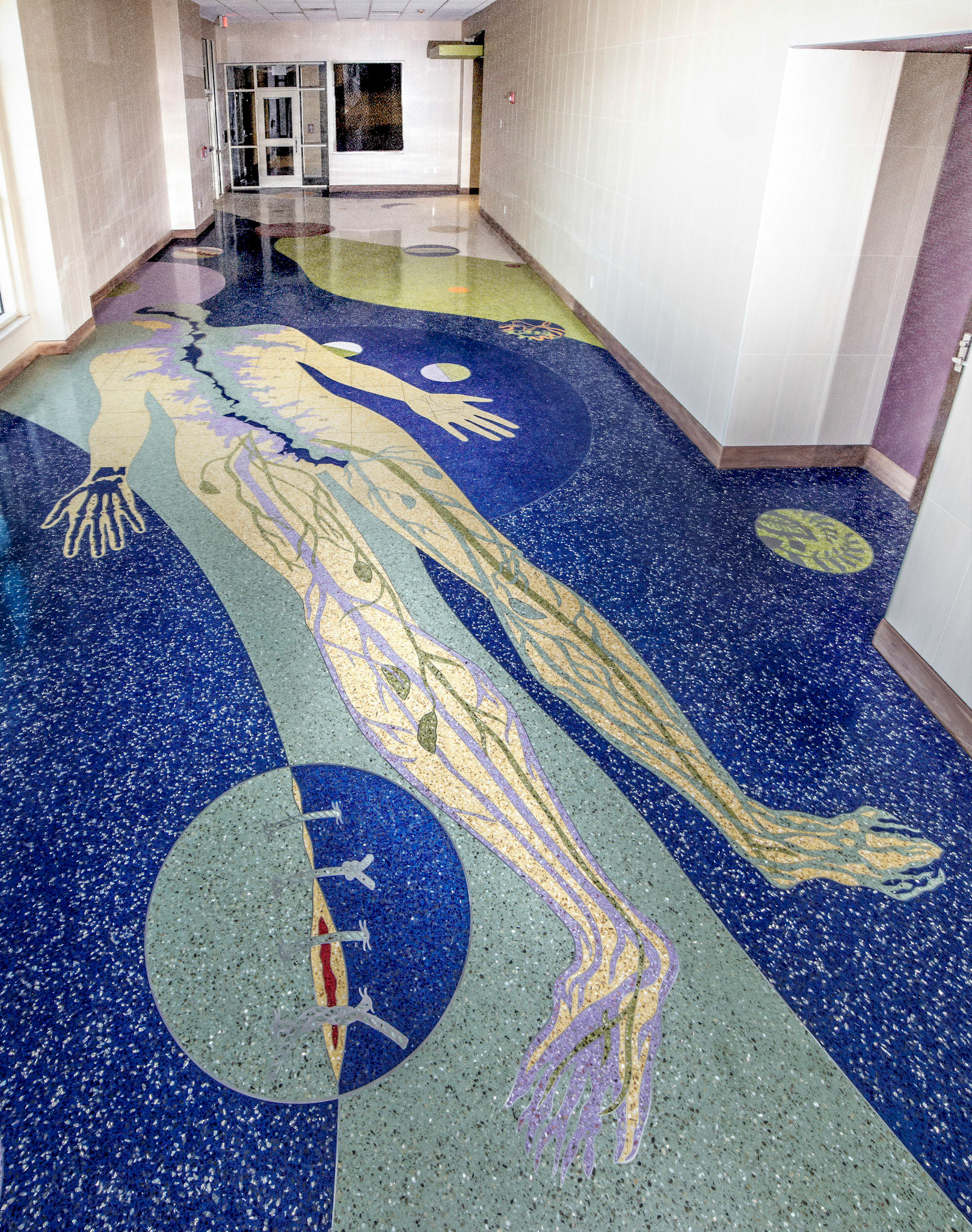 Body Geography  - Texas Tech University - Amarillo