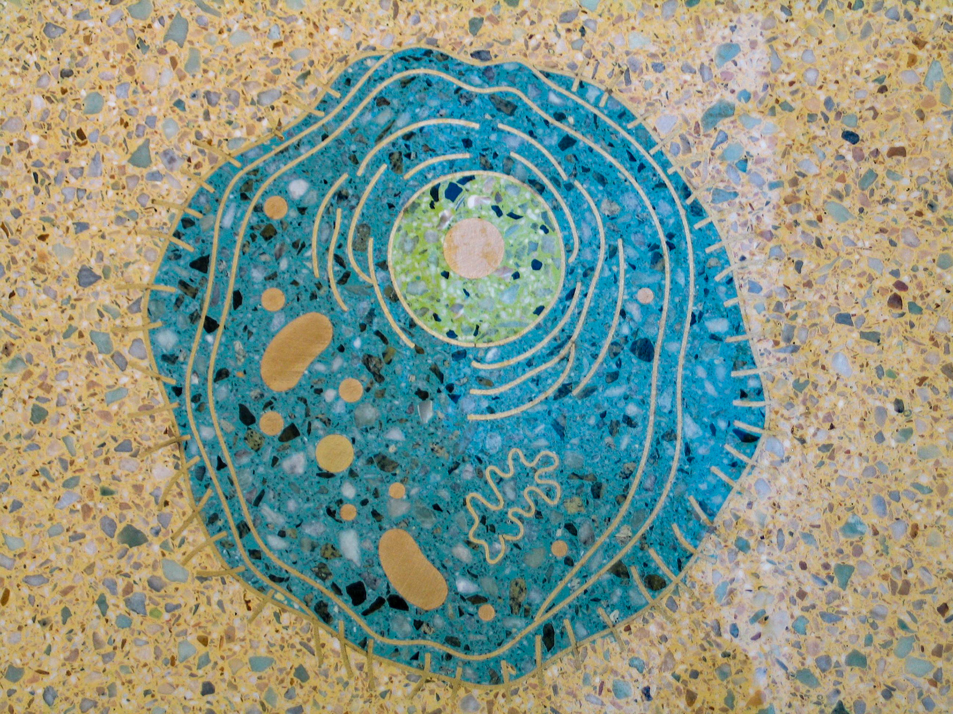 Life Tapestries - cell detail