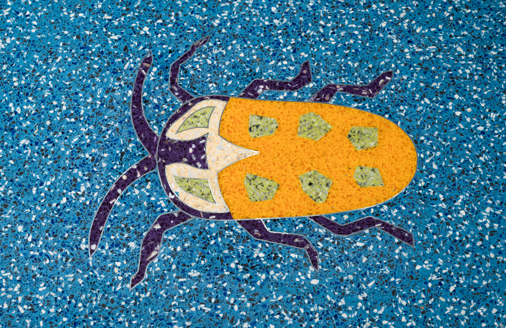 Learning Paths - Winona State University - detail