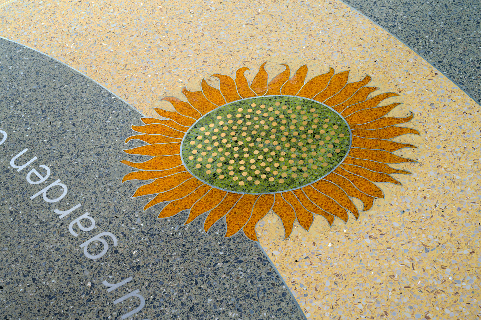 Learning Paths - Winona State University - detail