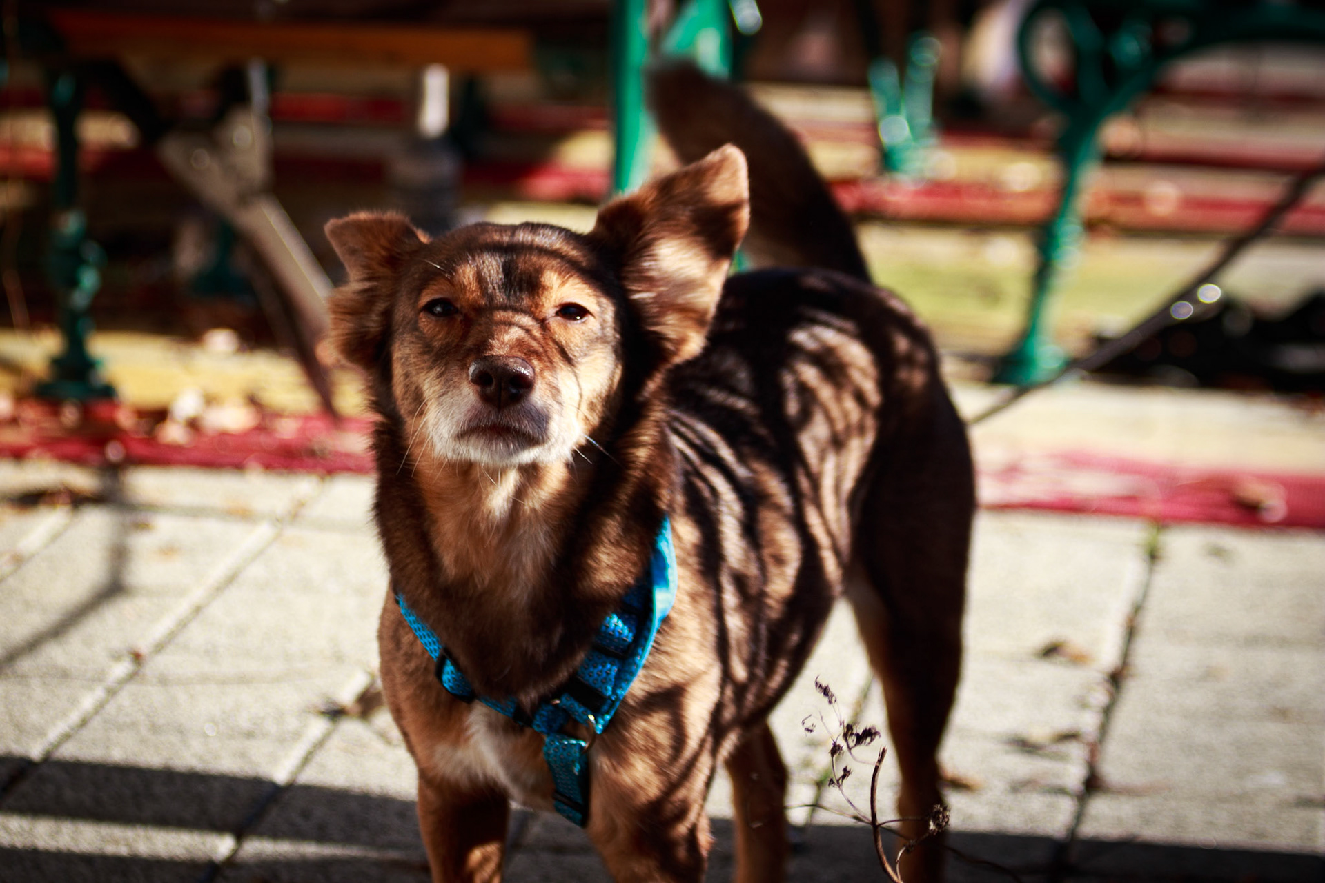 selina hammel - Canon EOS 100D / Canon EF 70-300