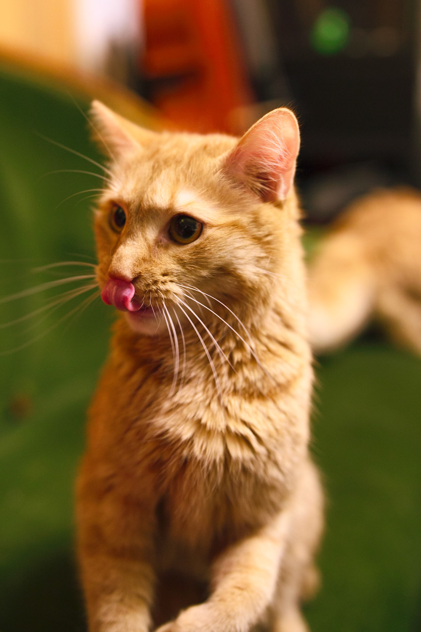 も (mo) / december 2024