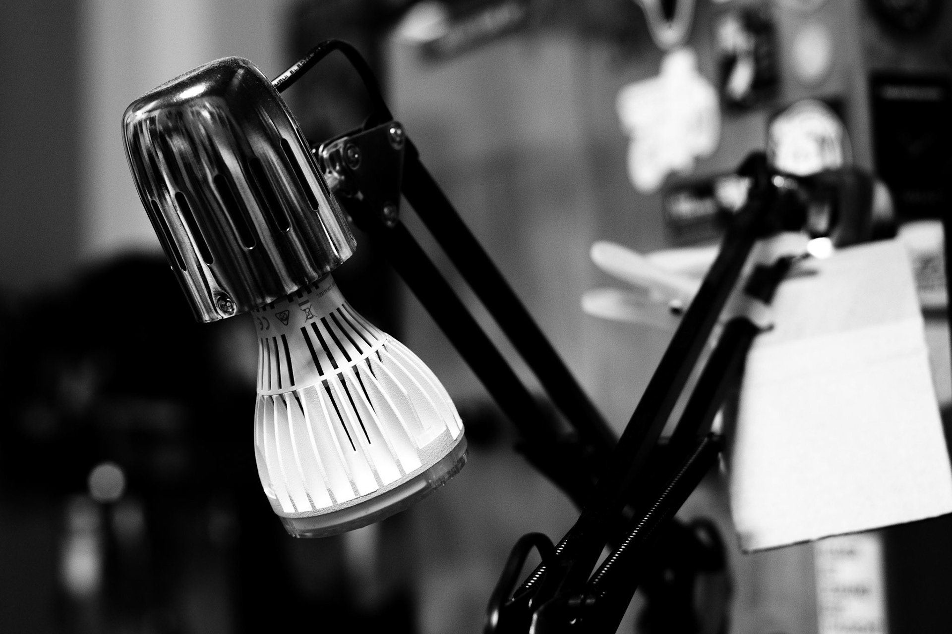 light / august 2026